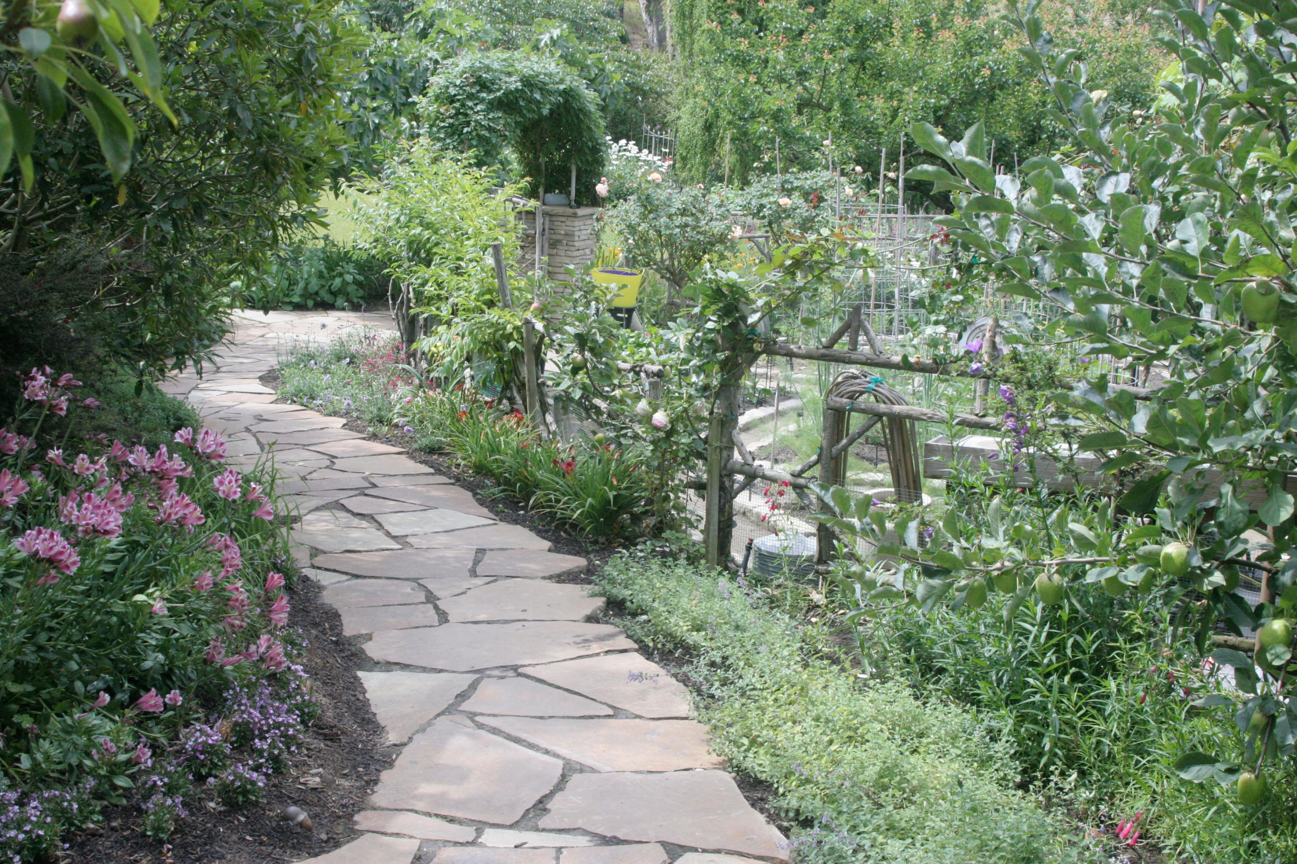 Плодово-ягодный сад: Как выиграть битву за красоту и собрать урожай