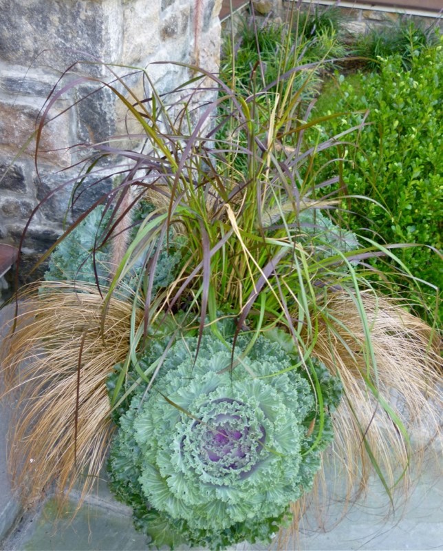 Фотоохота: 45 идей осенних кашпо