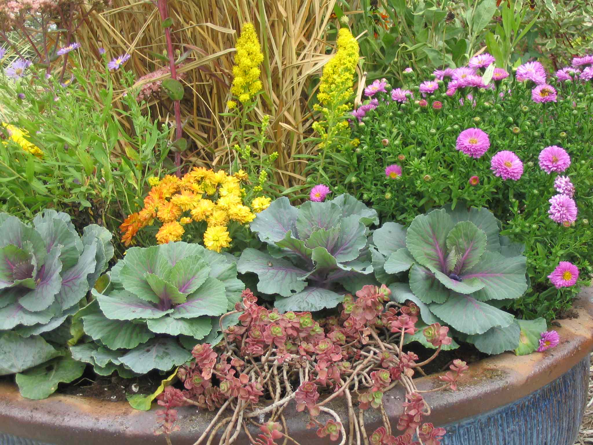 Как правильно: Горшечный сад осенью — проводим апгрейд