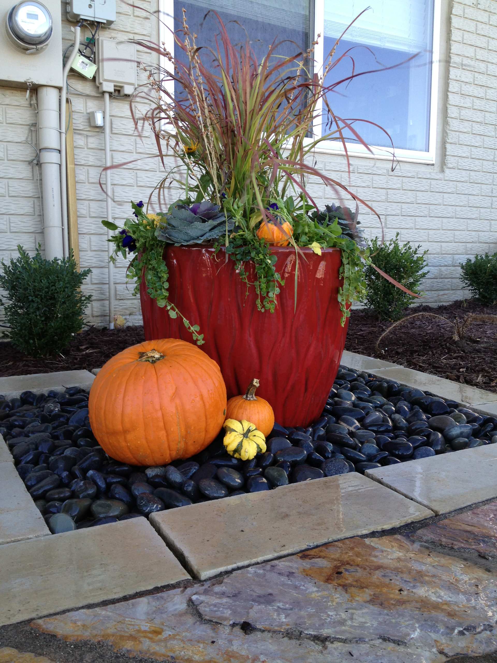 Как правильно: Горшечный сад осенью — проводим апгрейд