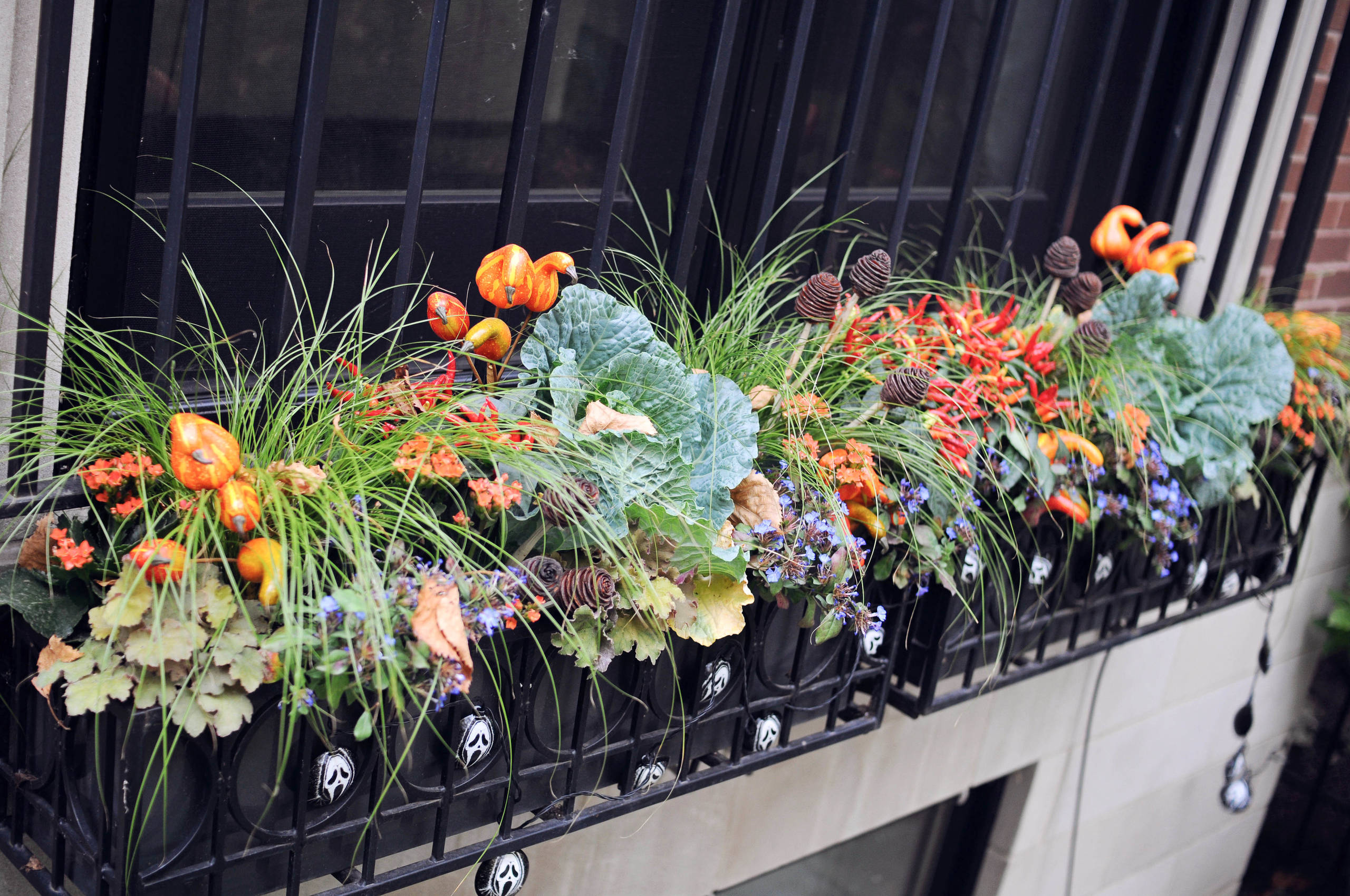 Фотоохота: 45 идей осенних кашпо