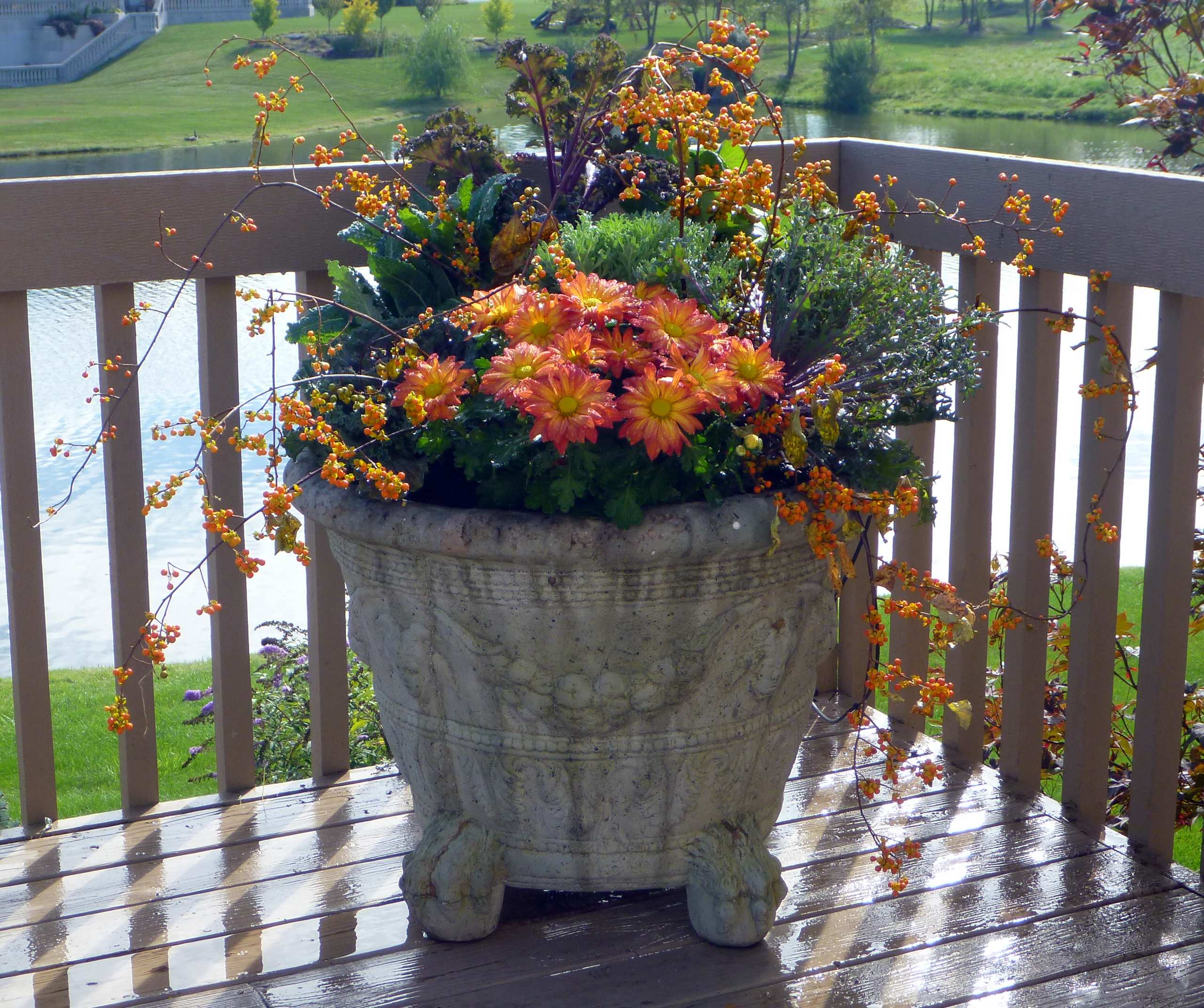 Фотоохота: 45 идей осенних кашпо