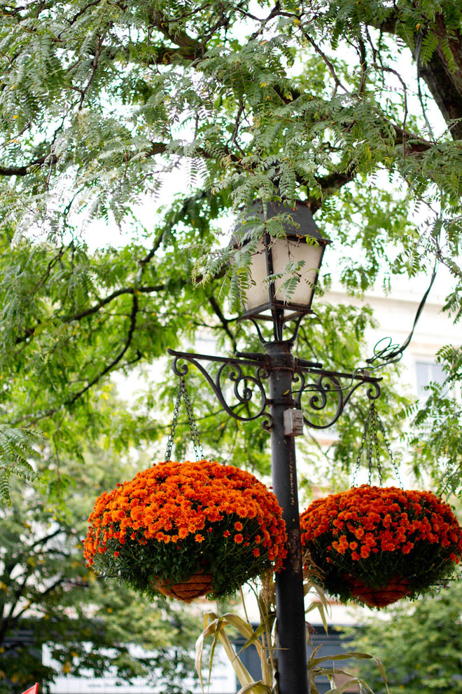 Горшку — место: 14 идей, куда можно поставить растения в кашпо