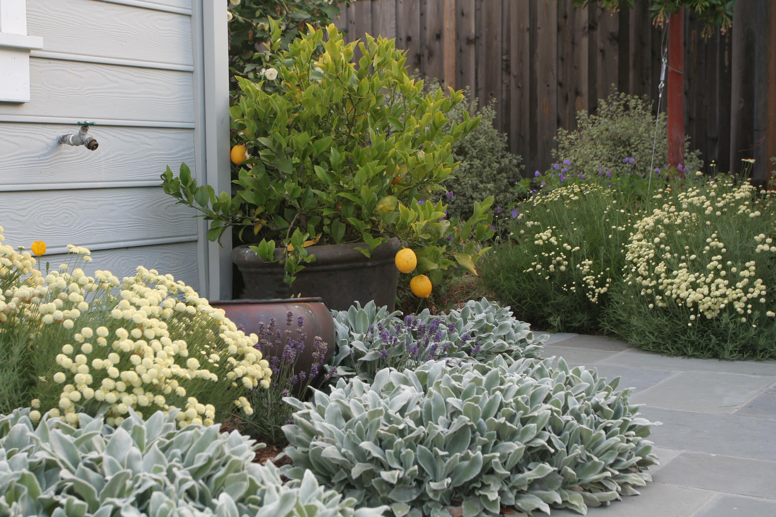 Фотоохота: Клумбы и цветники — 64 идеи для дачи