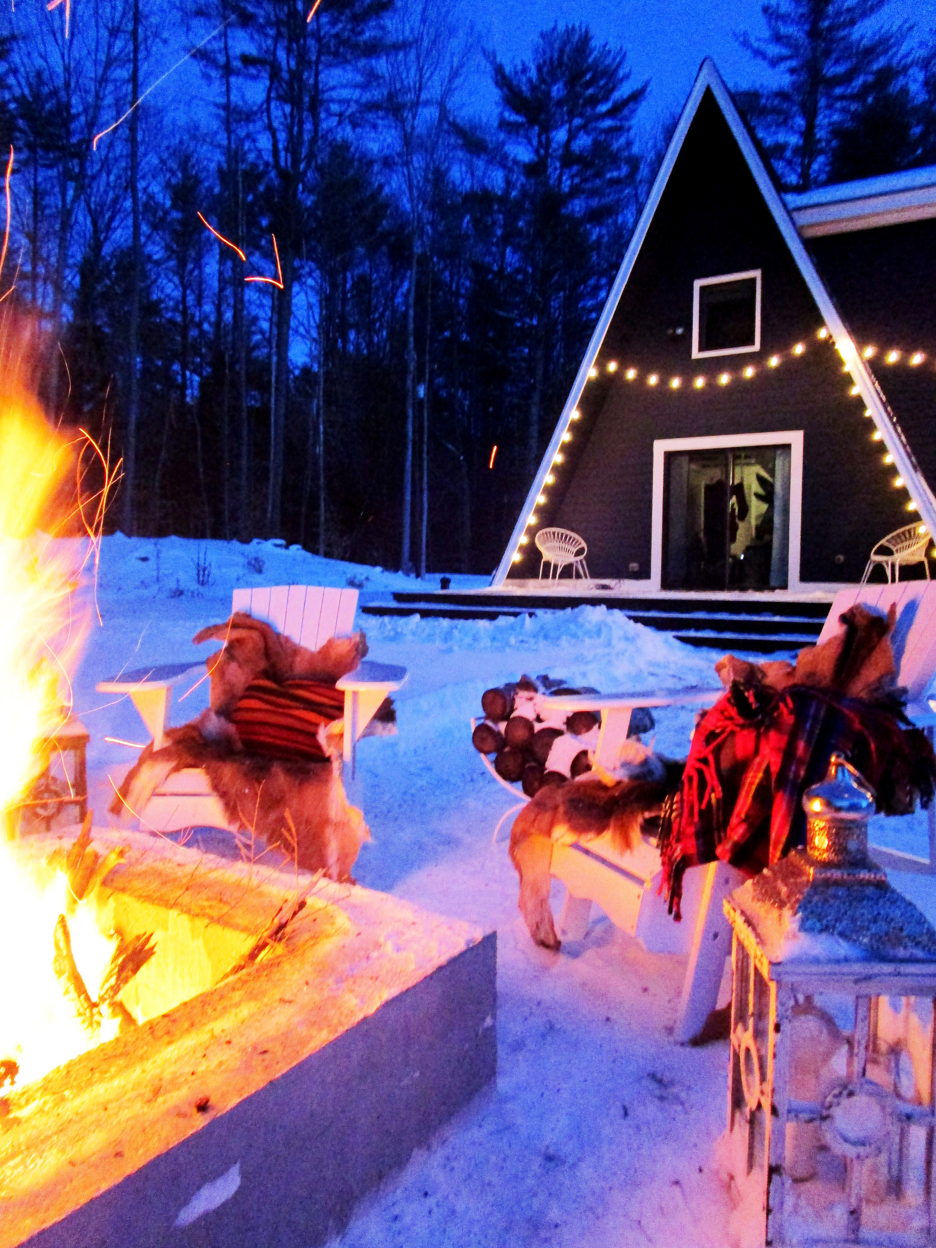 Елка будущего года: Какую выбрать и где посадить
