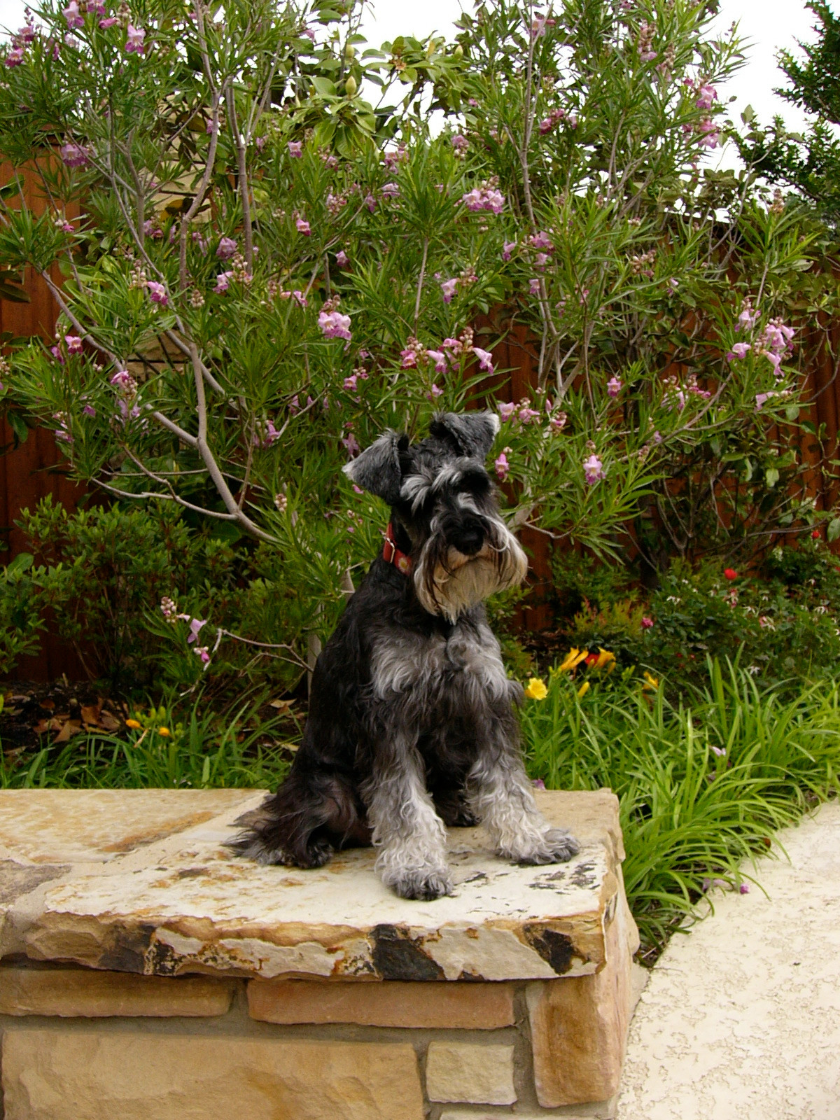 Работа над ошибками: Что пошло не так с деревьями