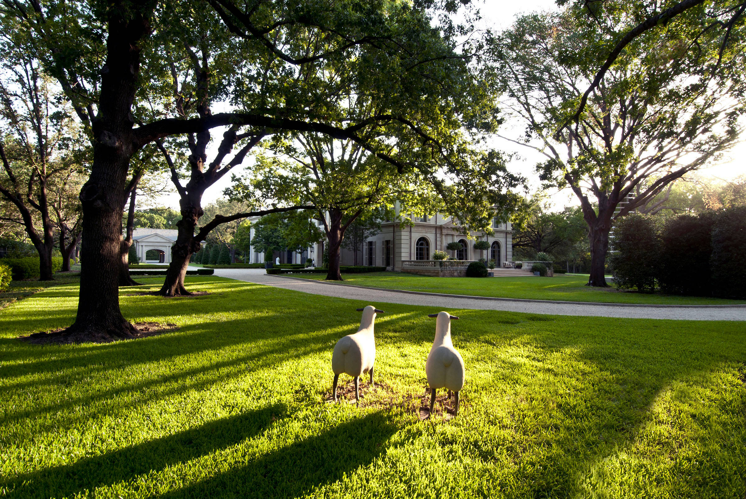 Сад: Методы экспресс-озеленения для нового участка