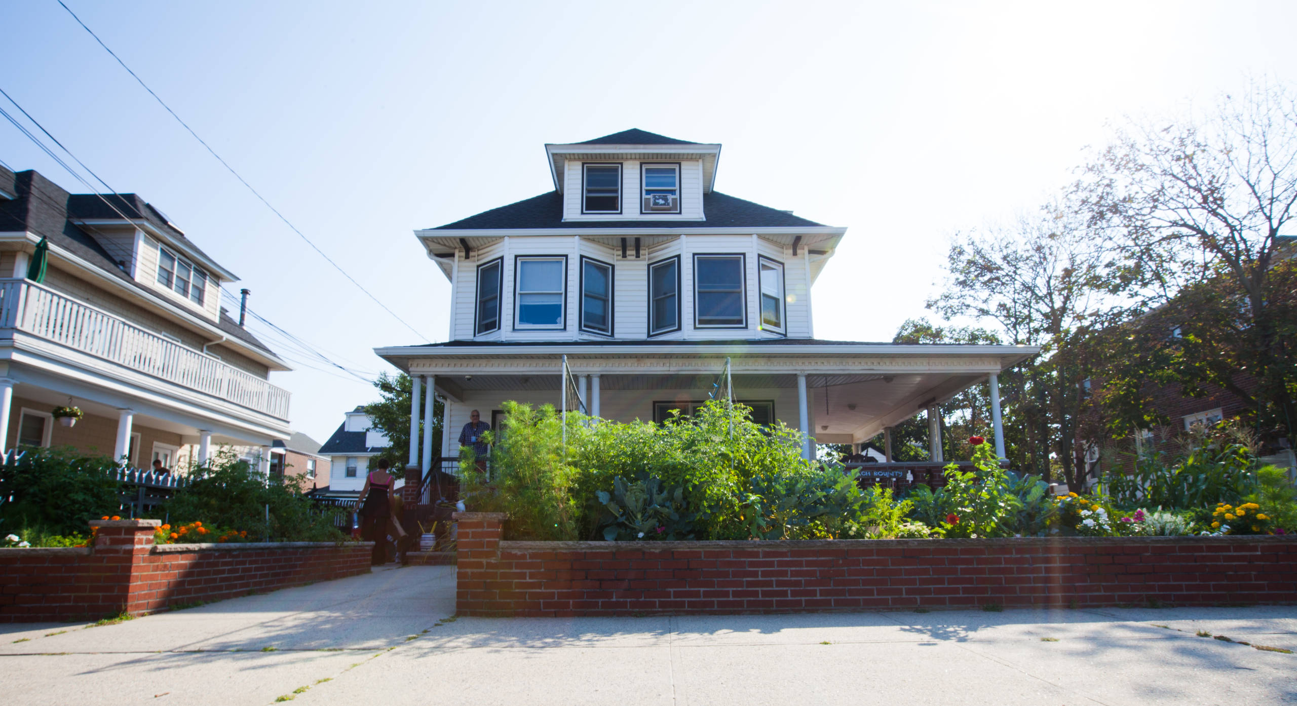 Мир дизайна: 10 огородников-любителей показывают урожай со своих грядок