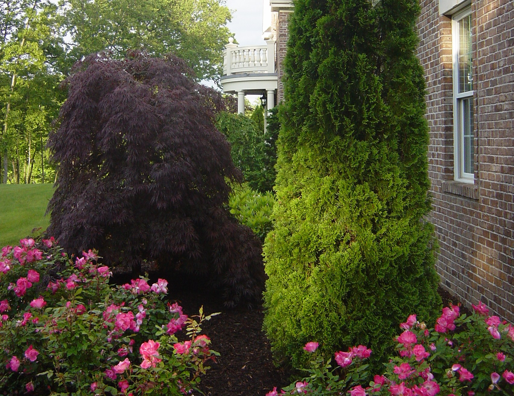 Одним цветом: Оформление участка в единой цветовой гамме