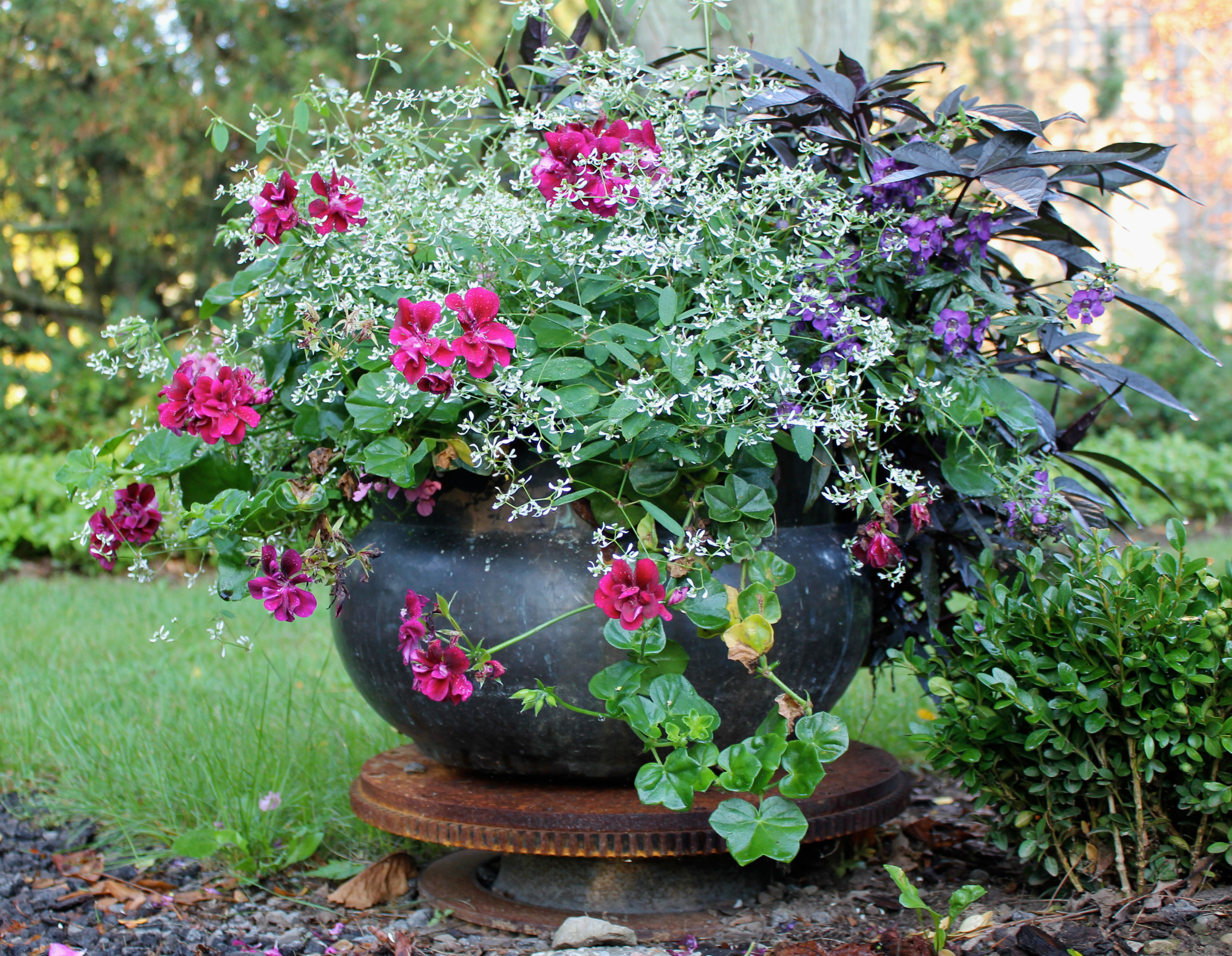 Ленивый сад: 17 советов, которые сэкономят вам силы