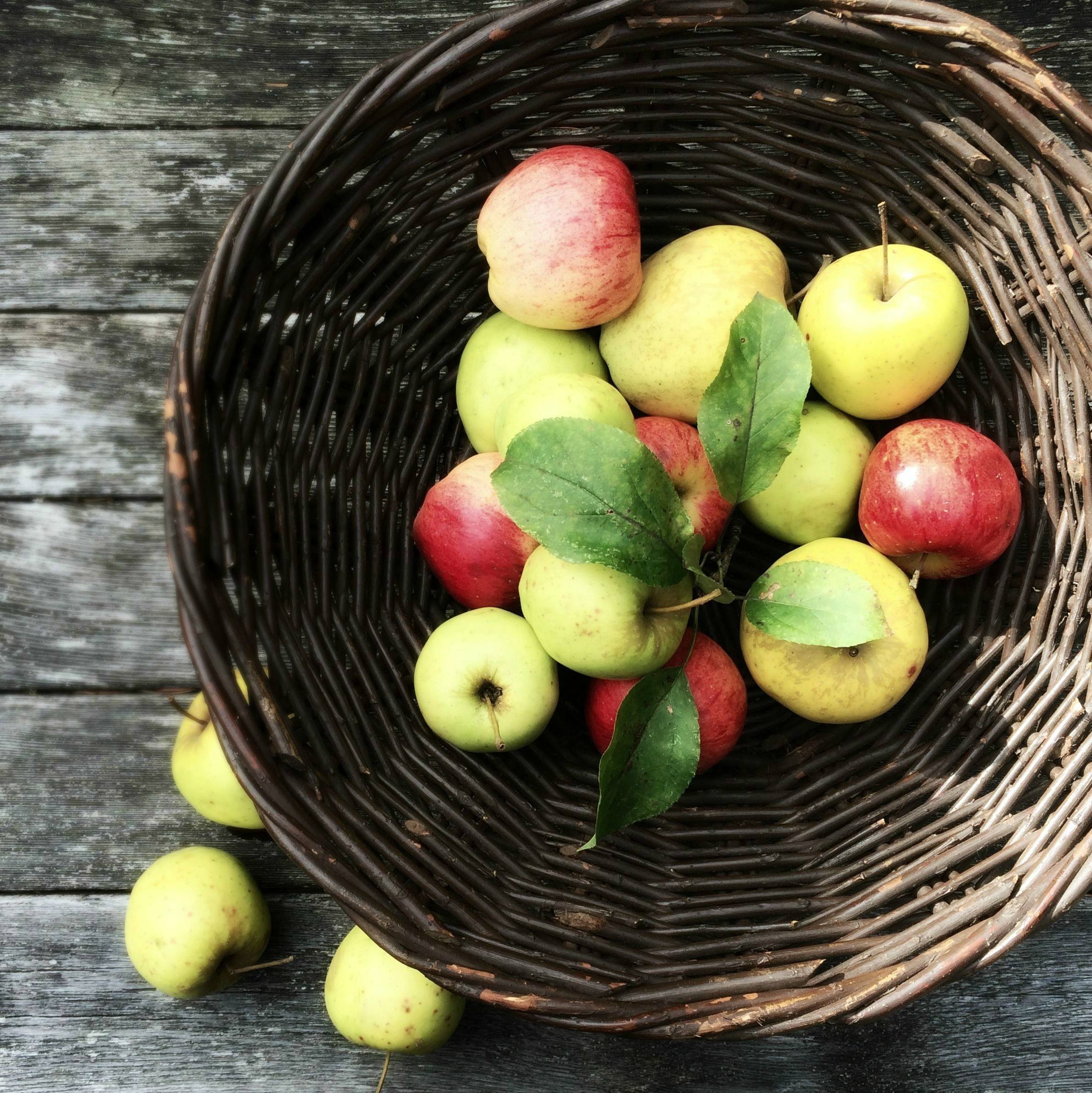 Работа над ошибками: Что пошло не так с плодовыми