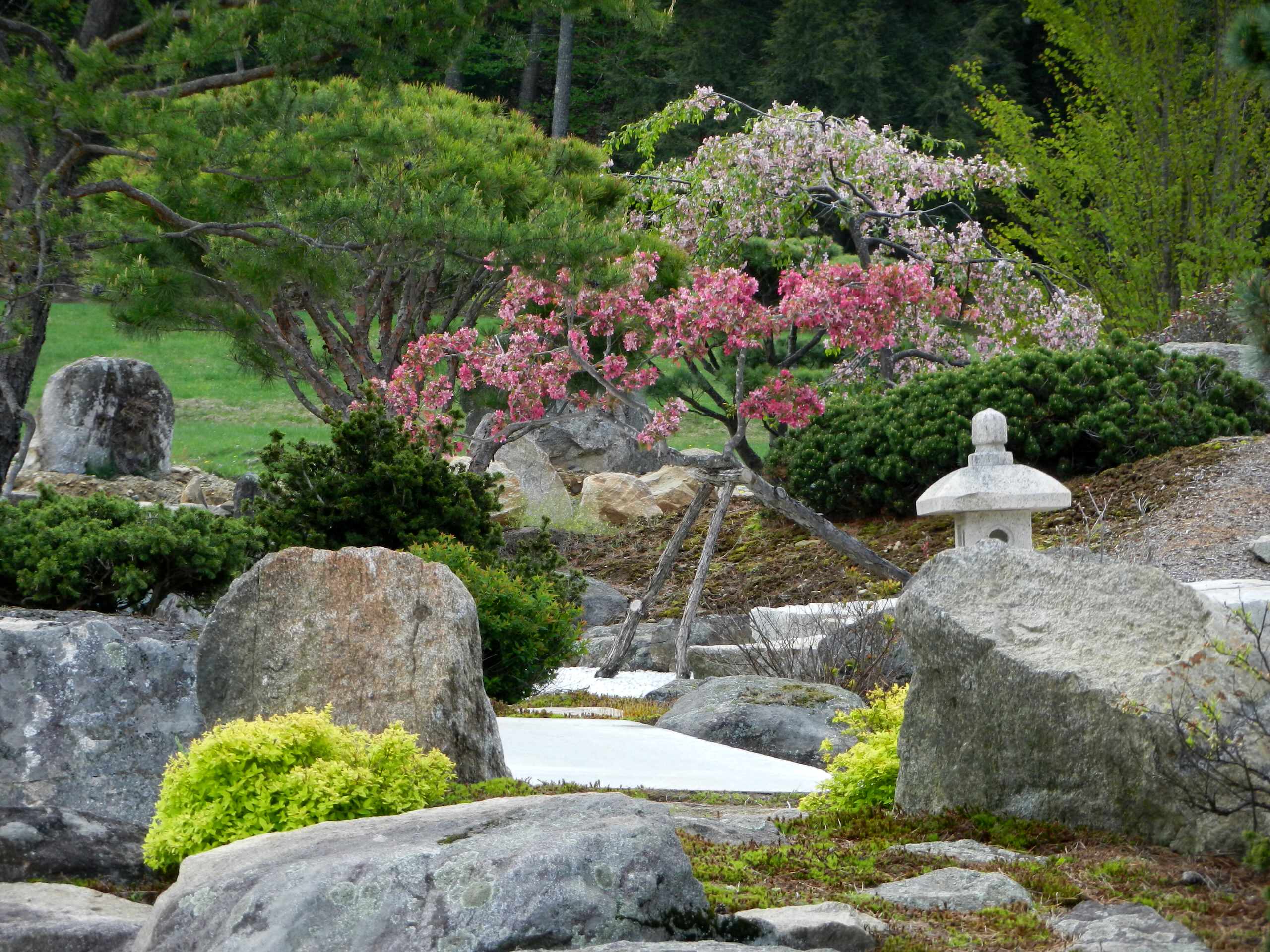 Азы садовода: Обрезка плодовых деревьев и кустарников