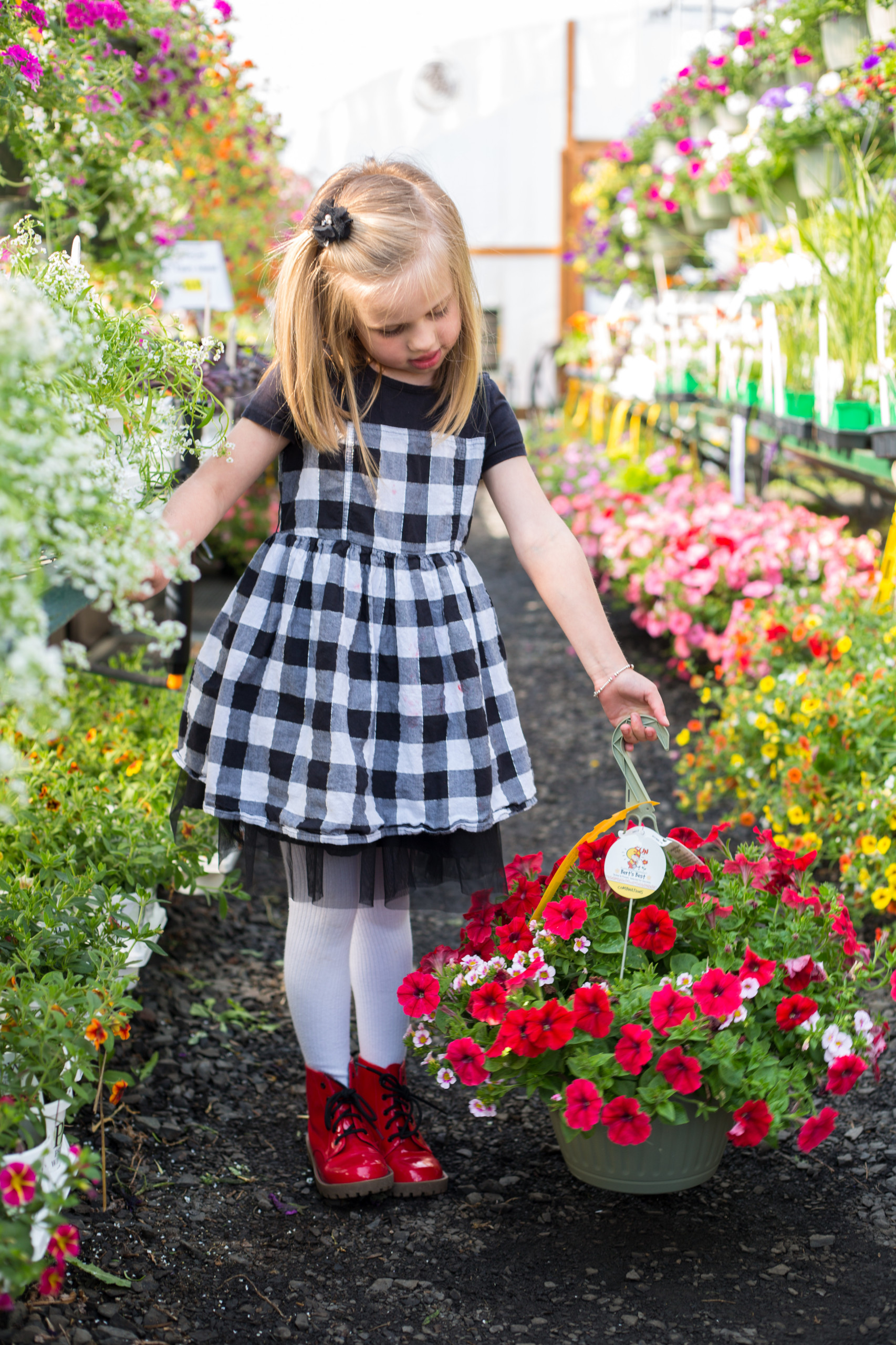 Цветущий сад: Календарь на май для дачников и садоводов