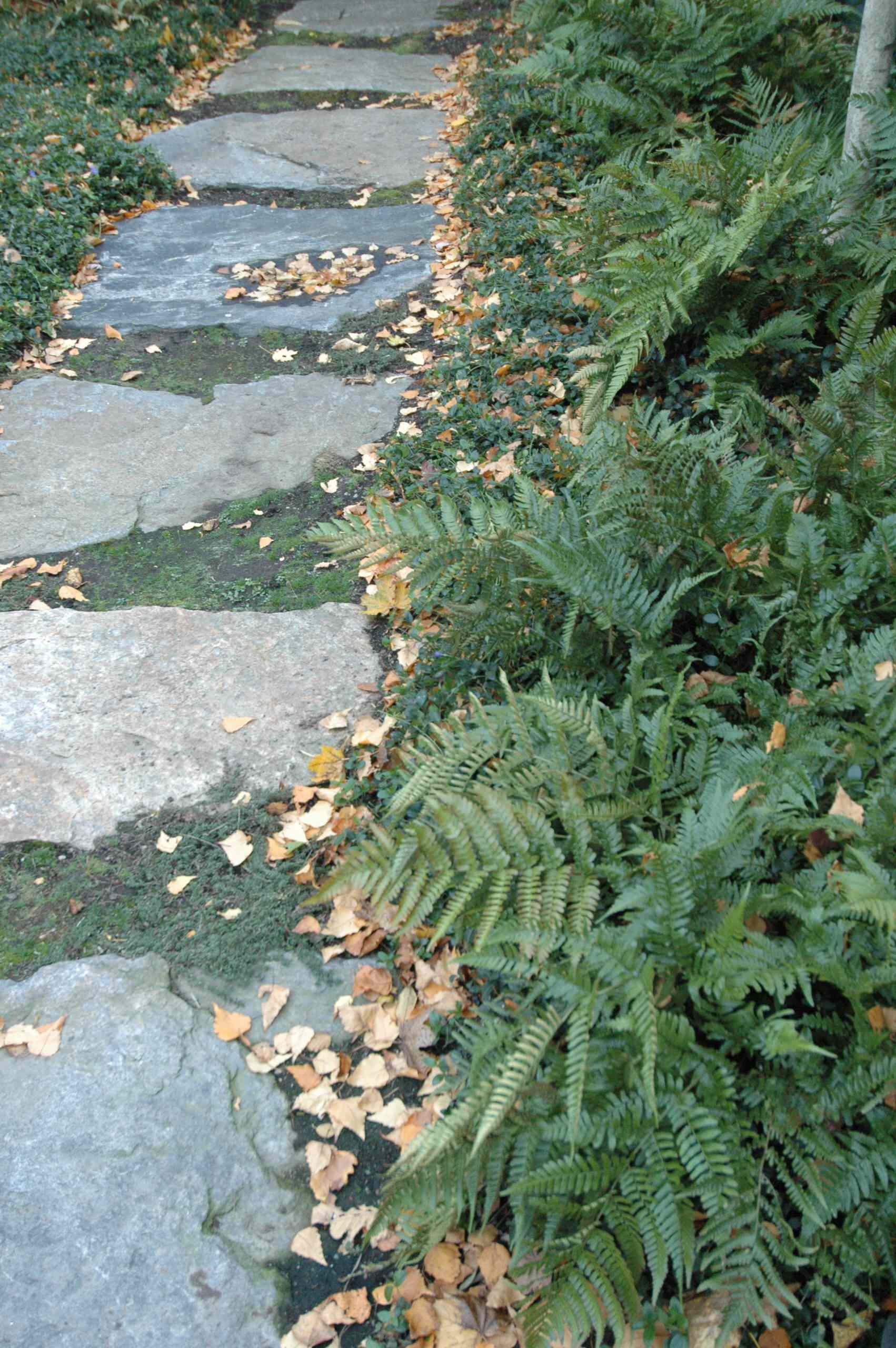 Без огня: Забудьте о кострах на садовых участках