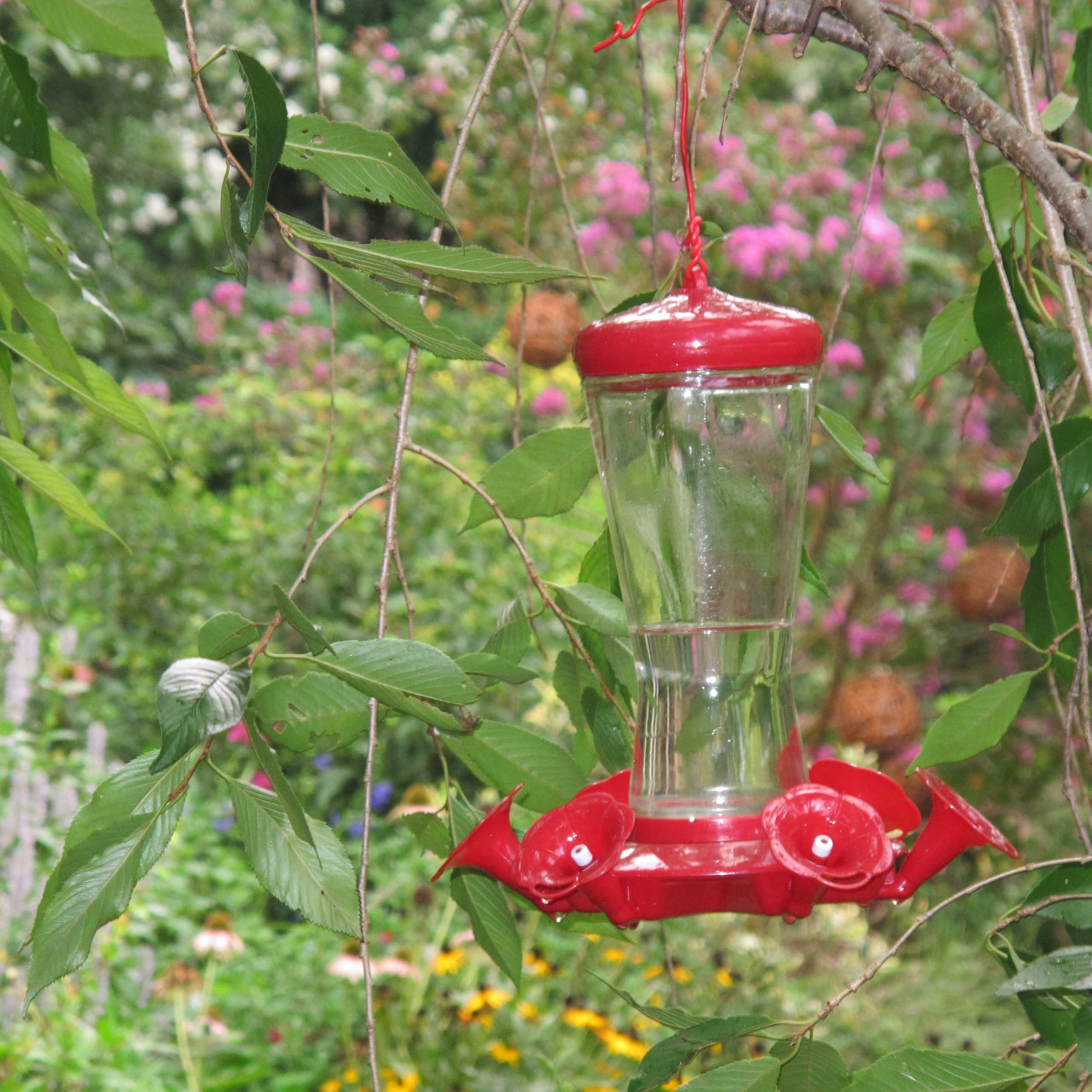 Что делать: Весенняя обработка сада от вредителей