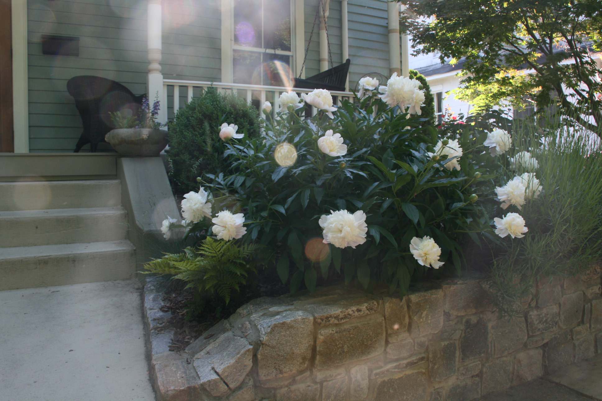 Хороший вопрос: Сколько растений нужно для красивого сада