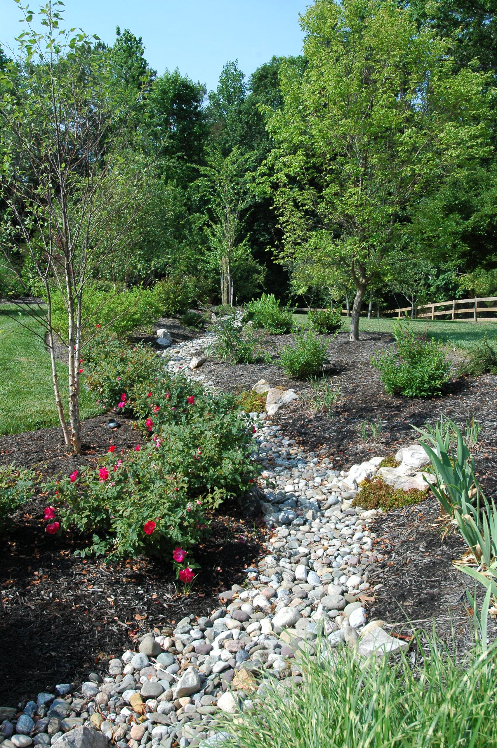 Влага во благо: Что делать с сырым заболоченным участком