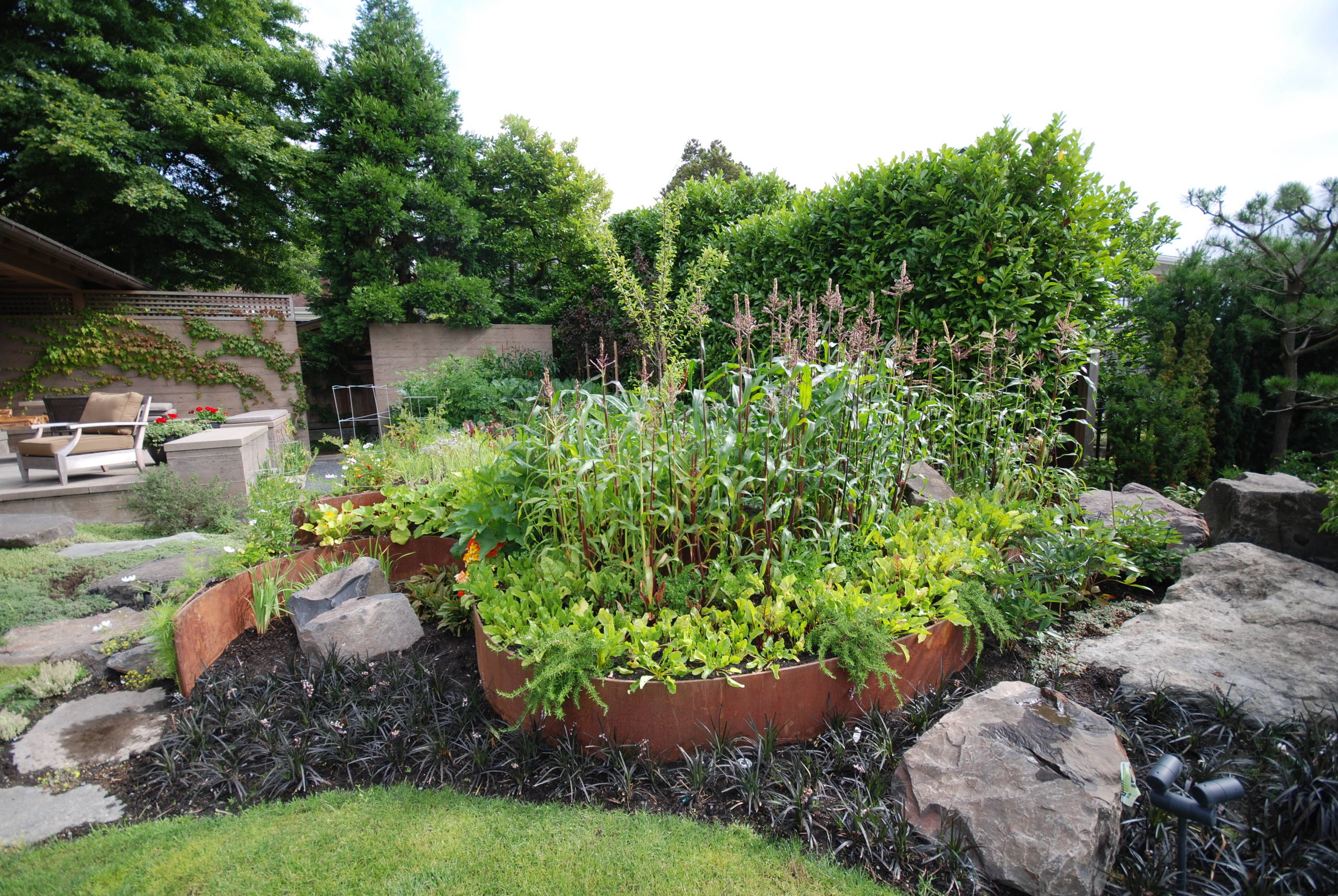 Как стоит городить огород: 4 подхода к выращиванию овощей