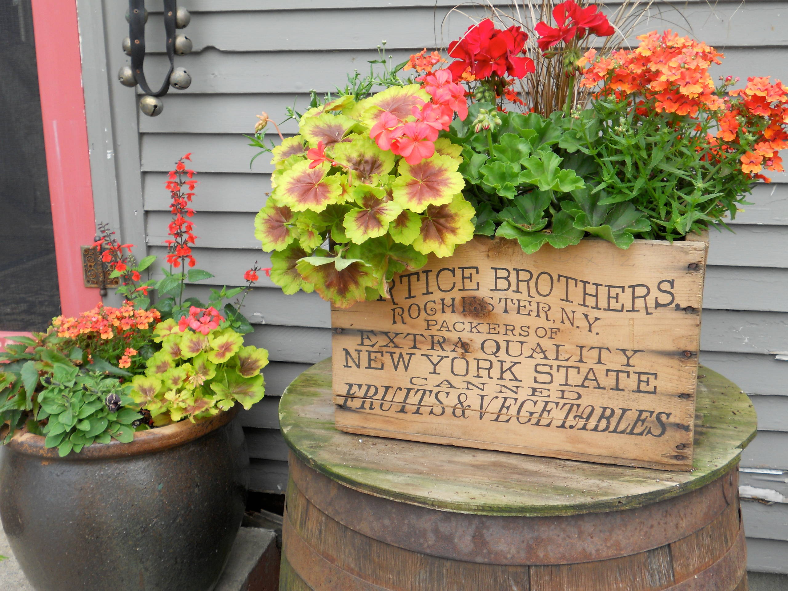 Блиц-озеленение: Как получить цветущий балкон за два дня