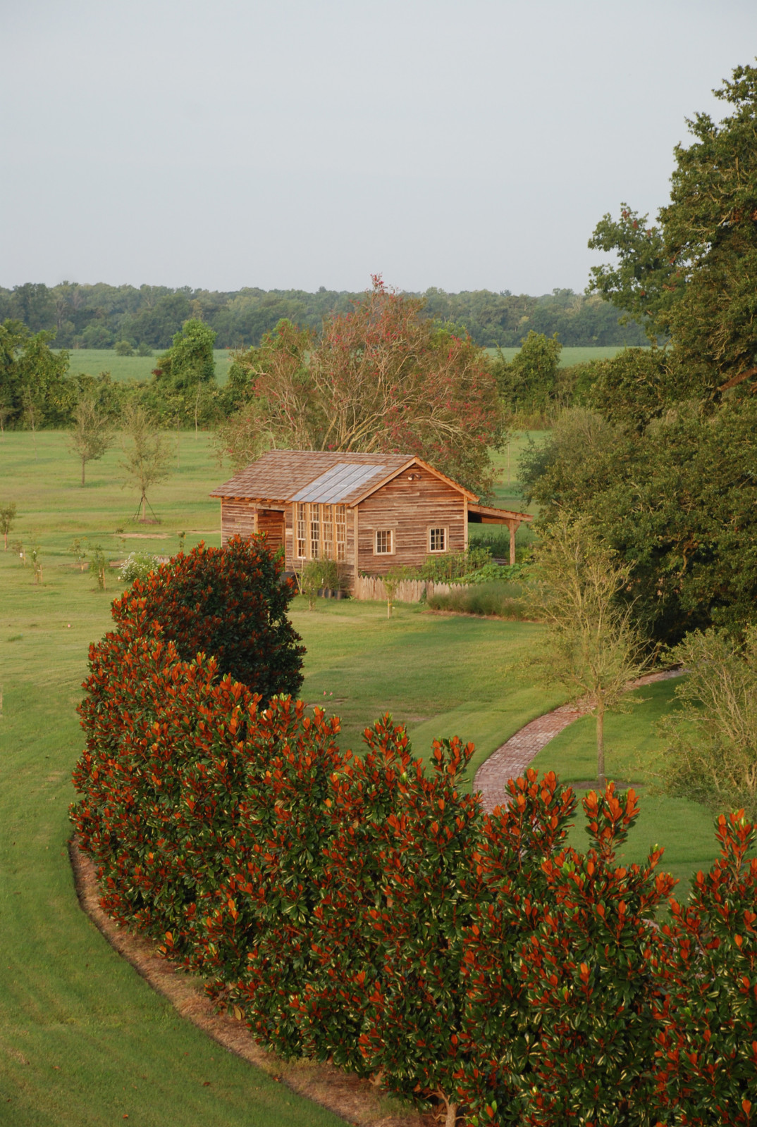 Просто фото: Живая стена — красоты со всего мира