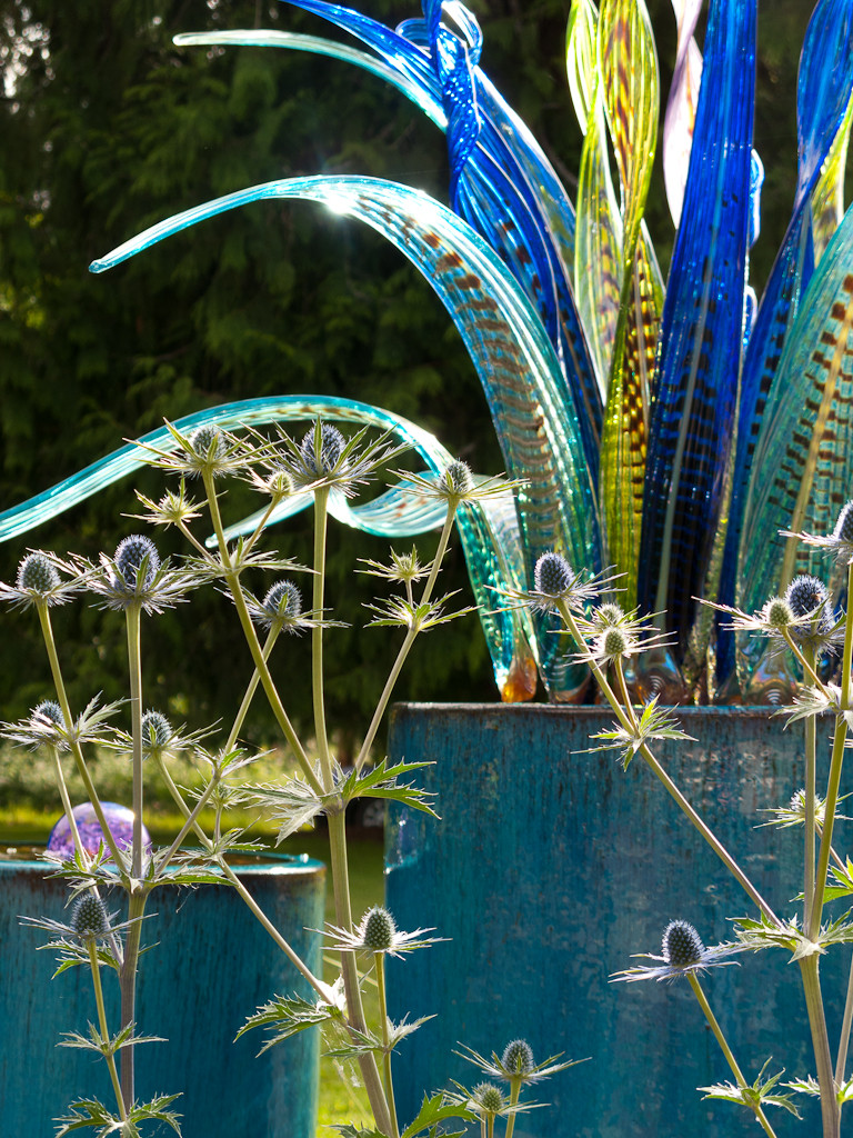 Зачем вам: Цветное стекло в саду