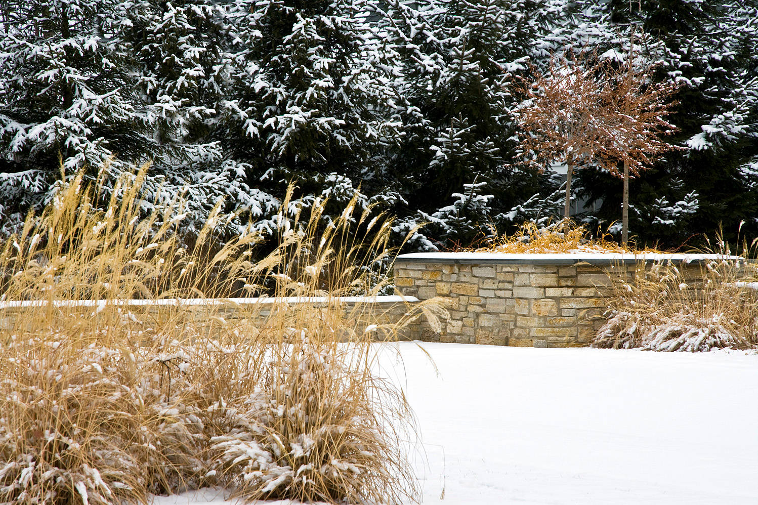 Без огня: Забудьте о кострах на садовых участках