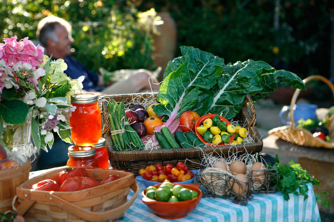 Вопрос: Что делать, если ребенок не хочет на дачу