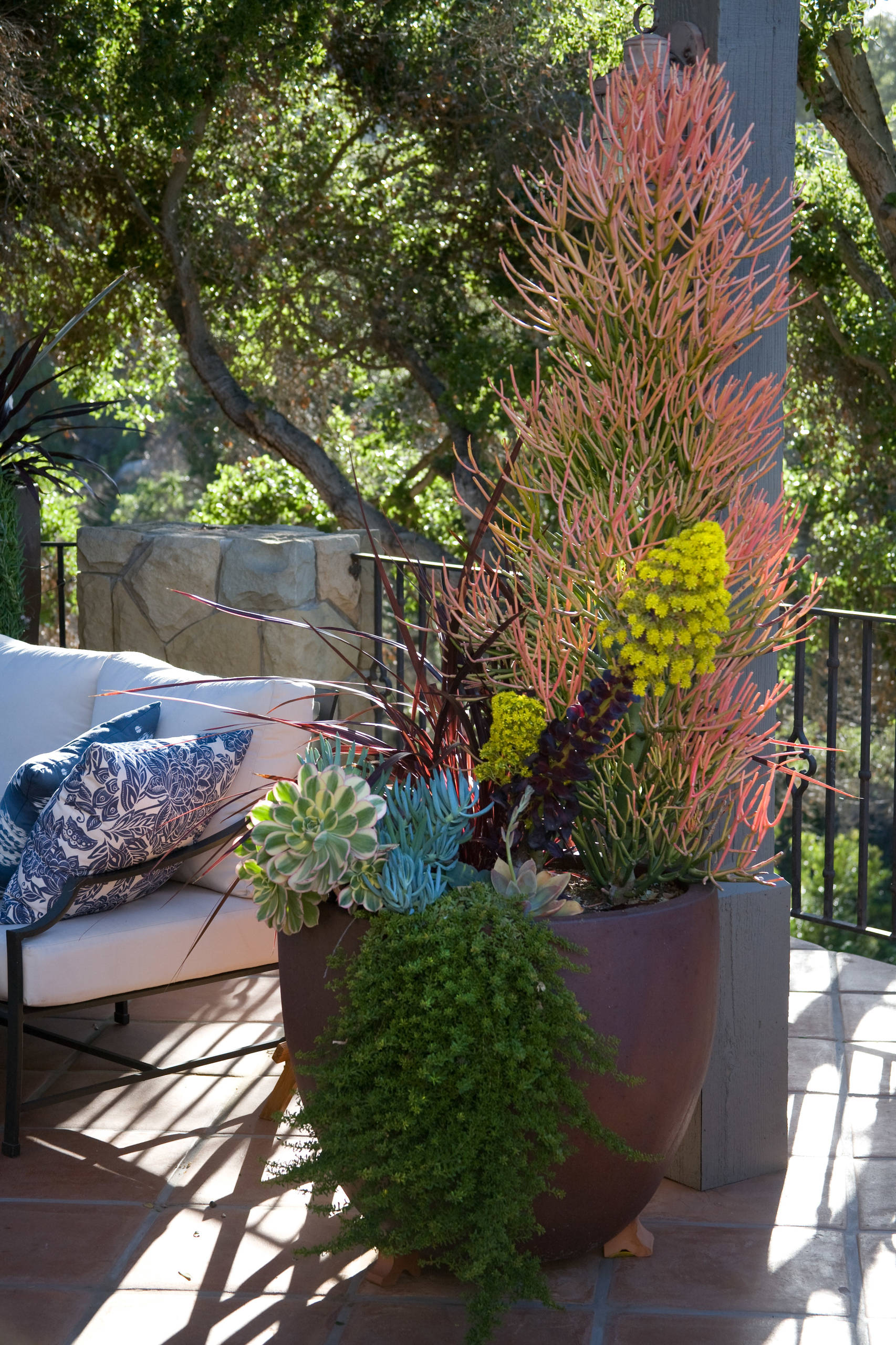 Вопрос: Можно ли вырастить полноценный сад в кадках