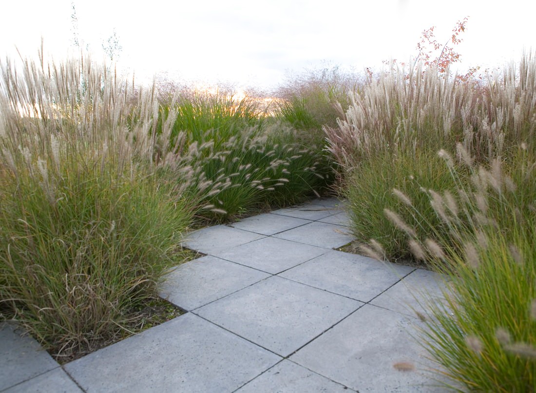 Хороший вопрос: Как выбрать лучшие злаки для вашего сада