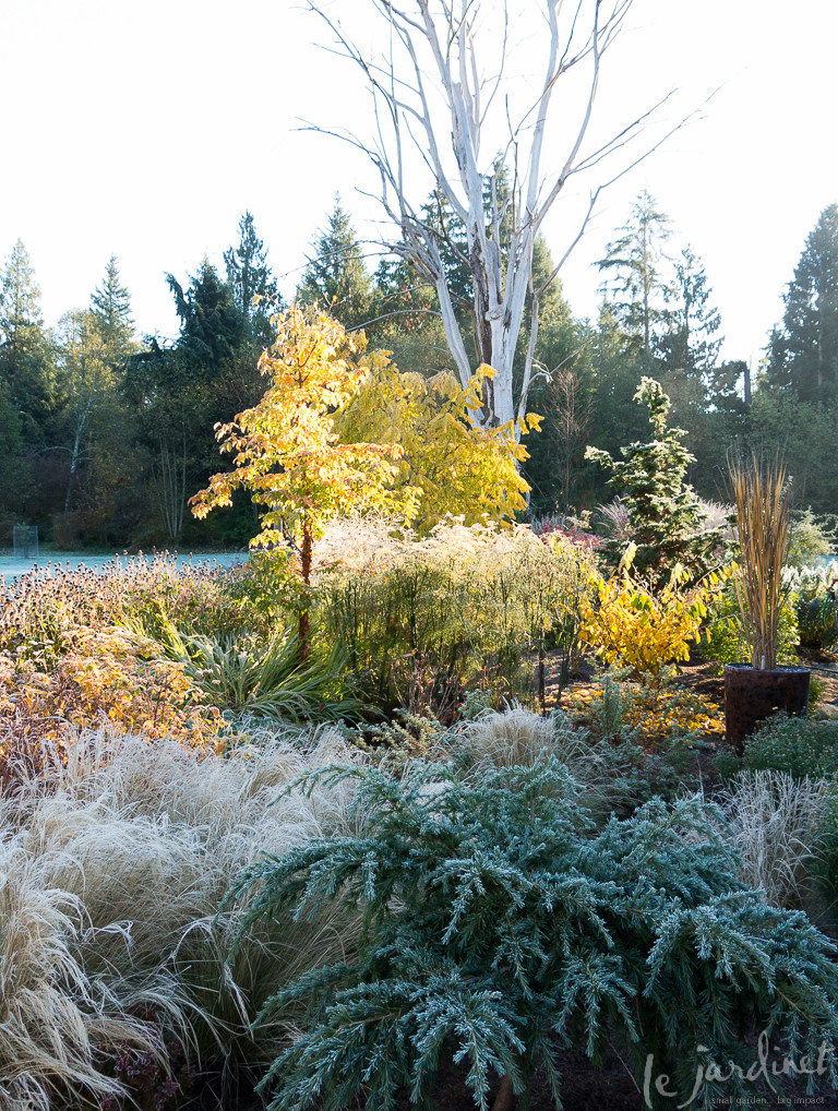 Работа над ошибками: Что пошло не так на клумбе