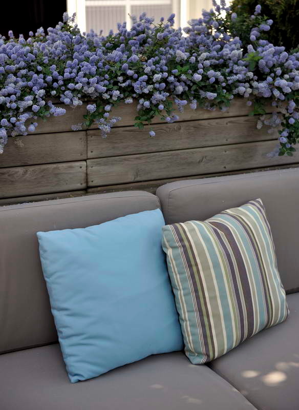 Горшку — место: 14 идей, куда можно поставить растения в кашпо