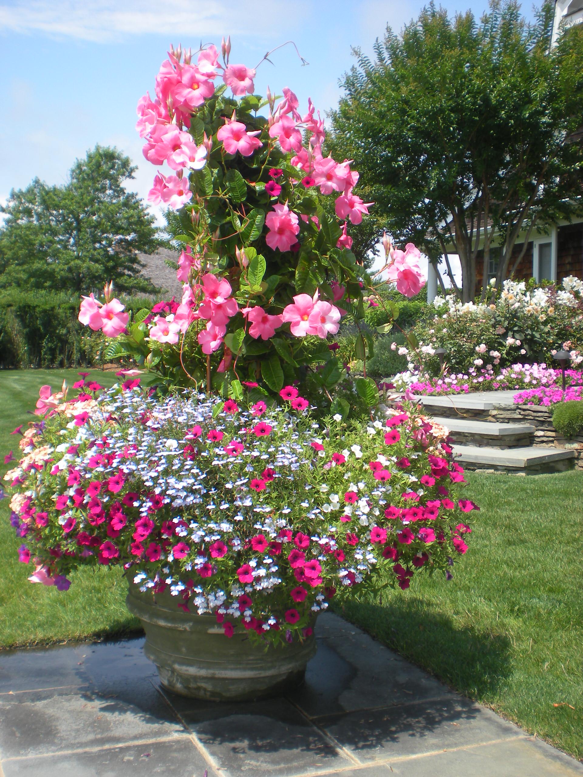 Вертикальная клумба: Полное руководство для начинающих и продолжающих