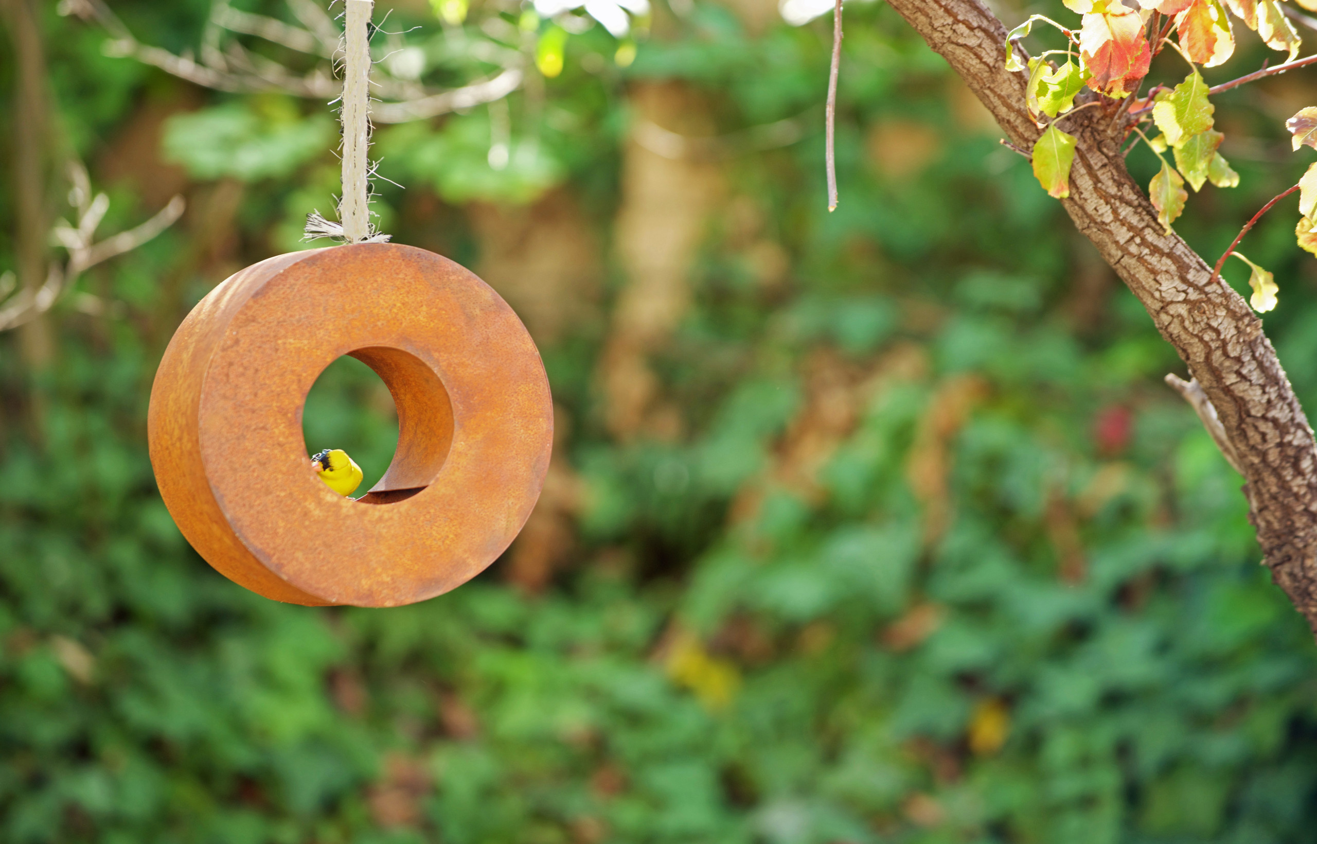 Вопрос: Как сделать свой сад привлекательным для птиц