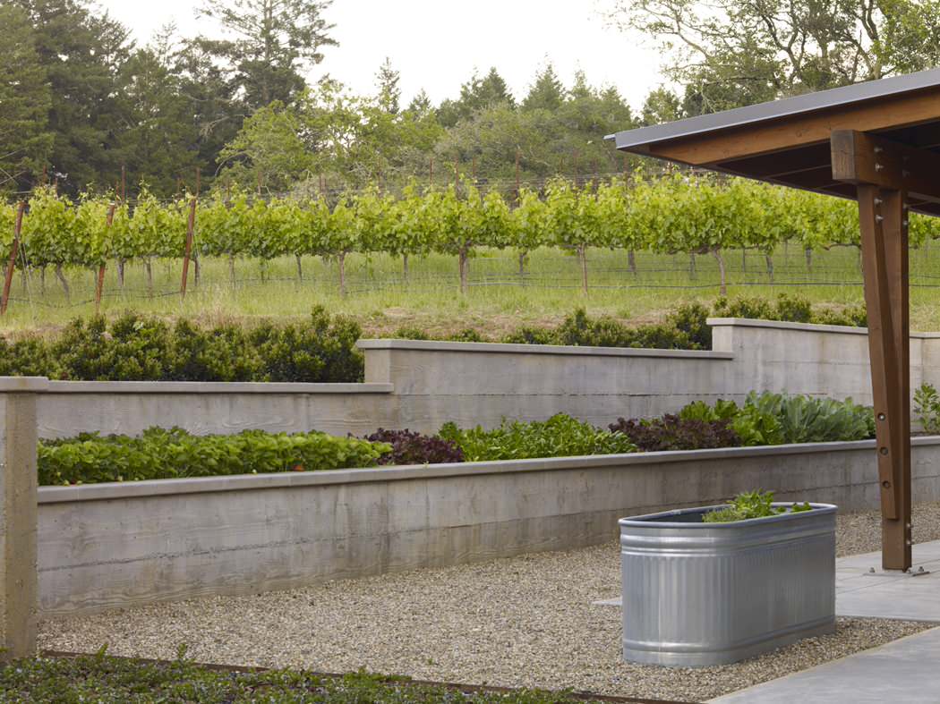 Плодово-ягодный сад: Как выиграть битву за красоту и собрать урожай