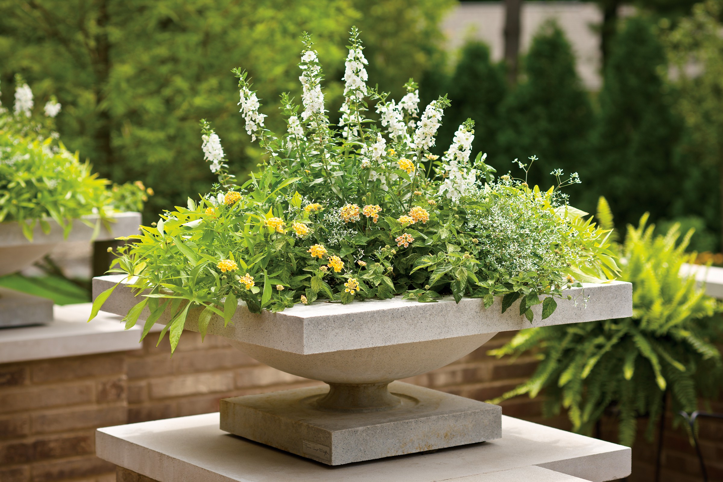 Как правильно: Сделать горшечный сад в середине лета