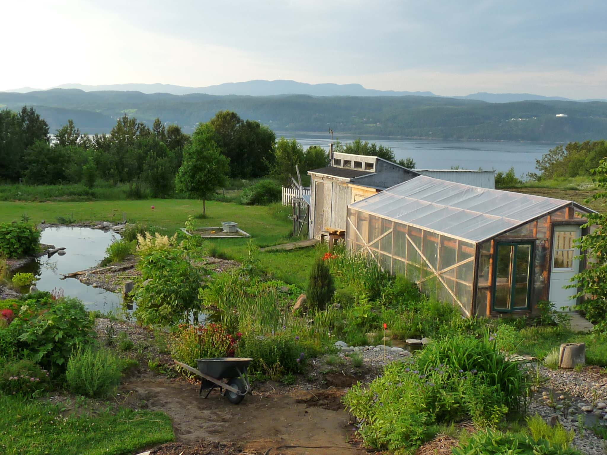 Хороший вопрос: А стоит ли бороться с сорняками на дачном участке