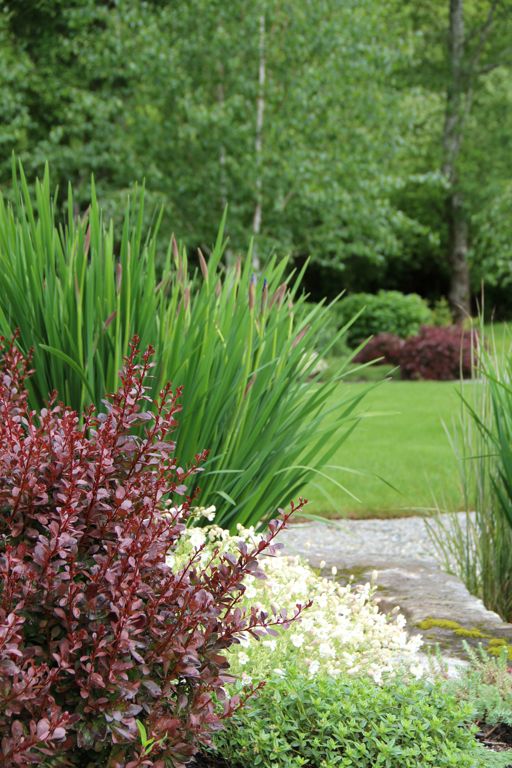 Хороший вопрос: Почему ваш участок не похож на фото из журнала