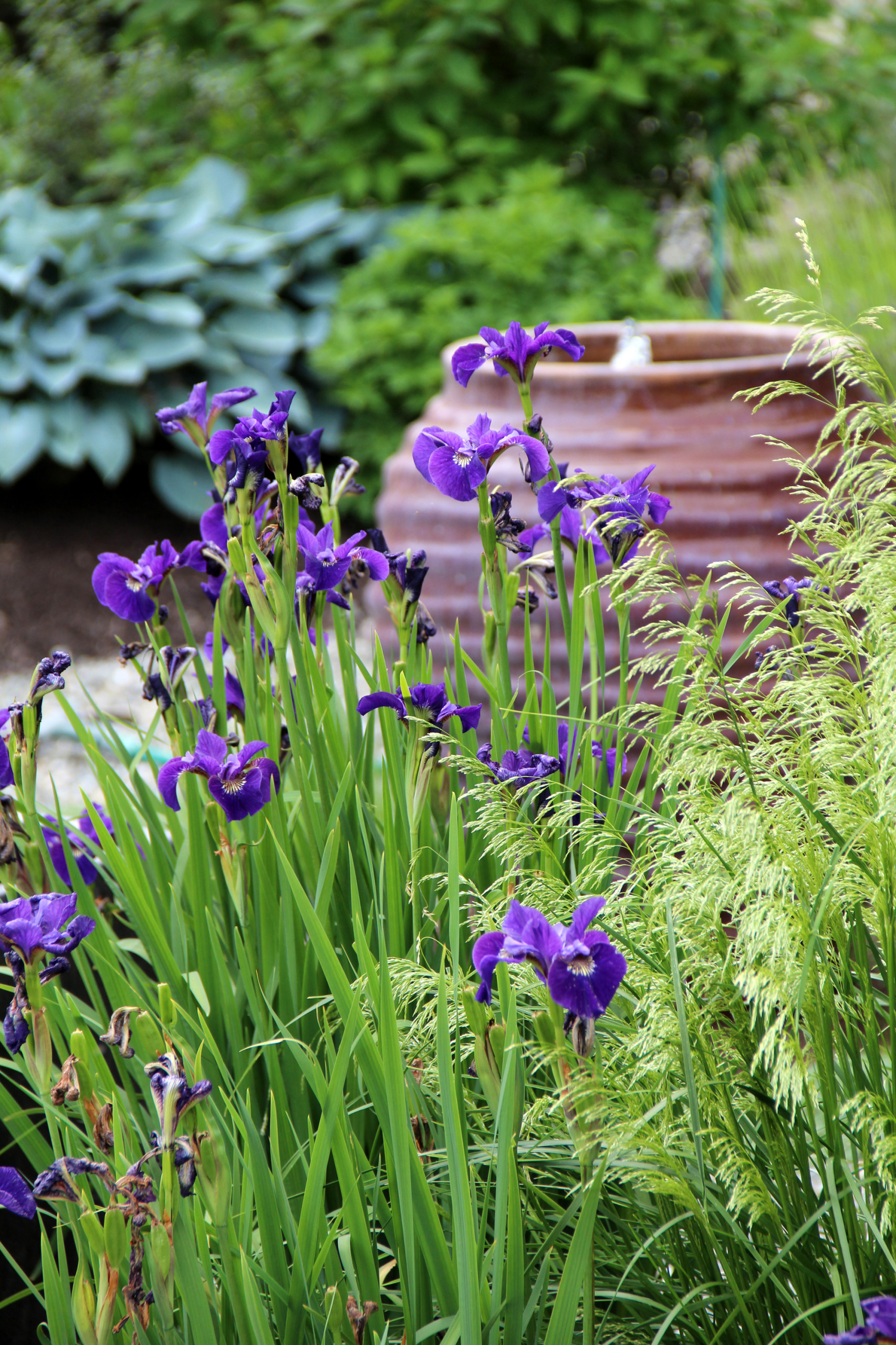 Цветы на даче: 9 стратегий дизайна клумбы