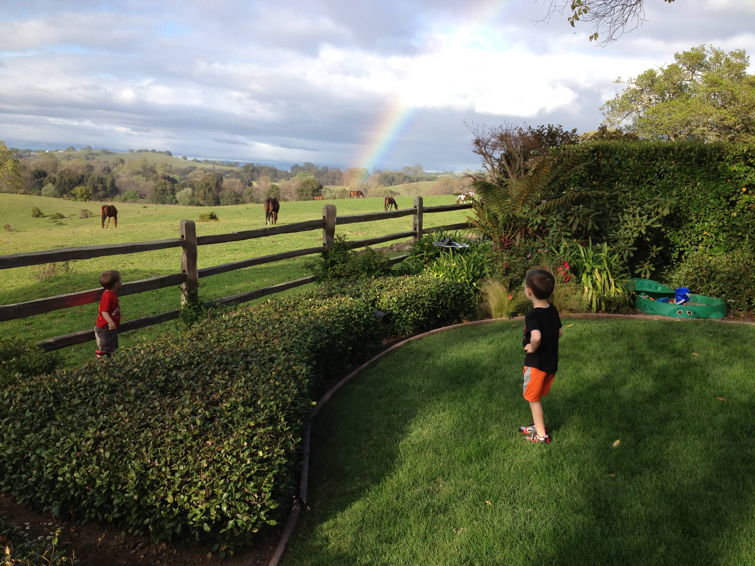 Объясняет юрист: Зачем вам межевой план участка