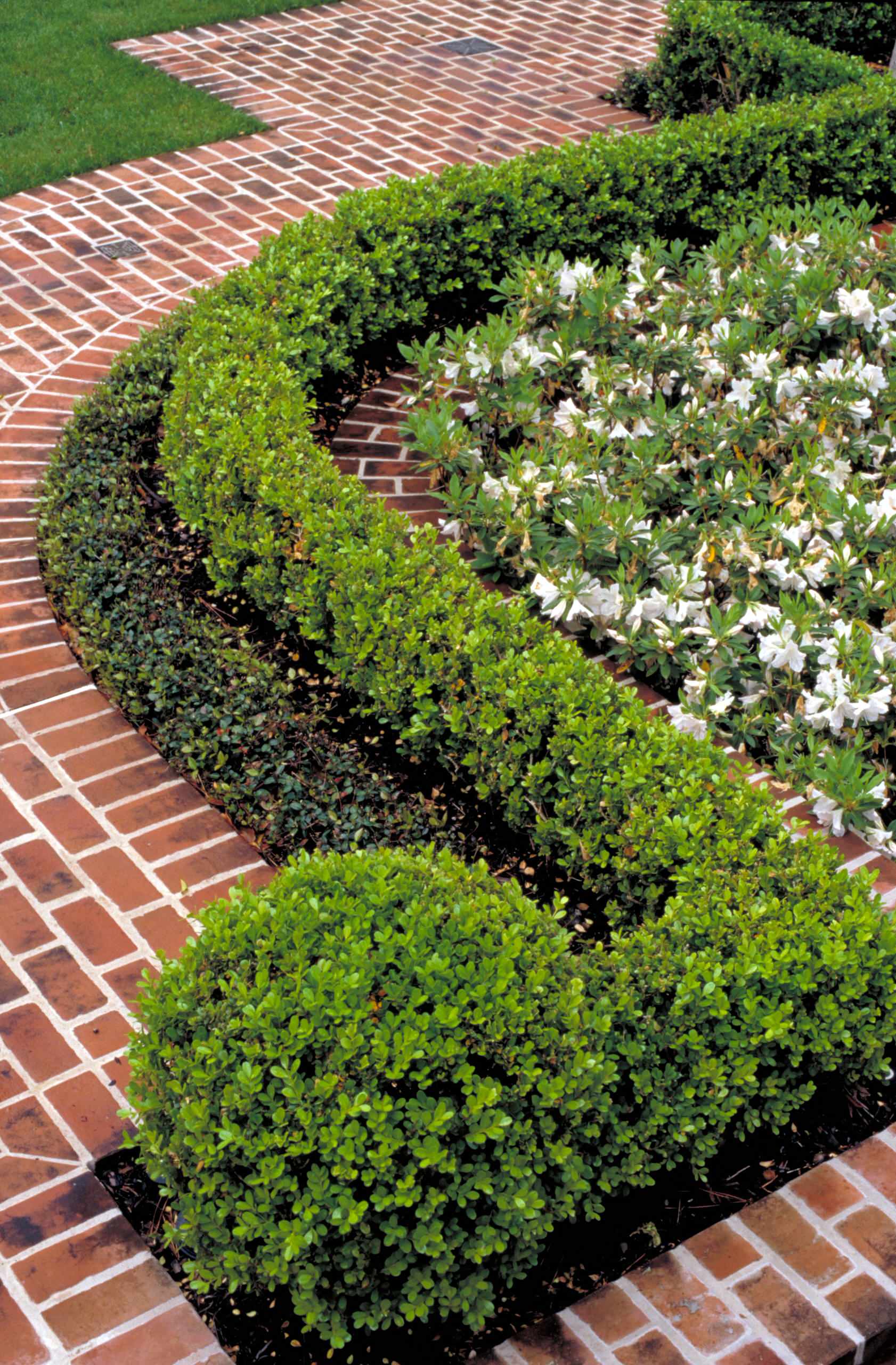 Сделайте это по-французски: Регулярный сад на маленьком участке