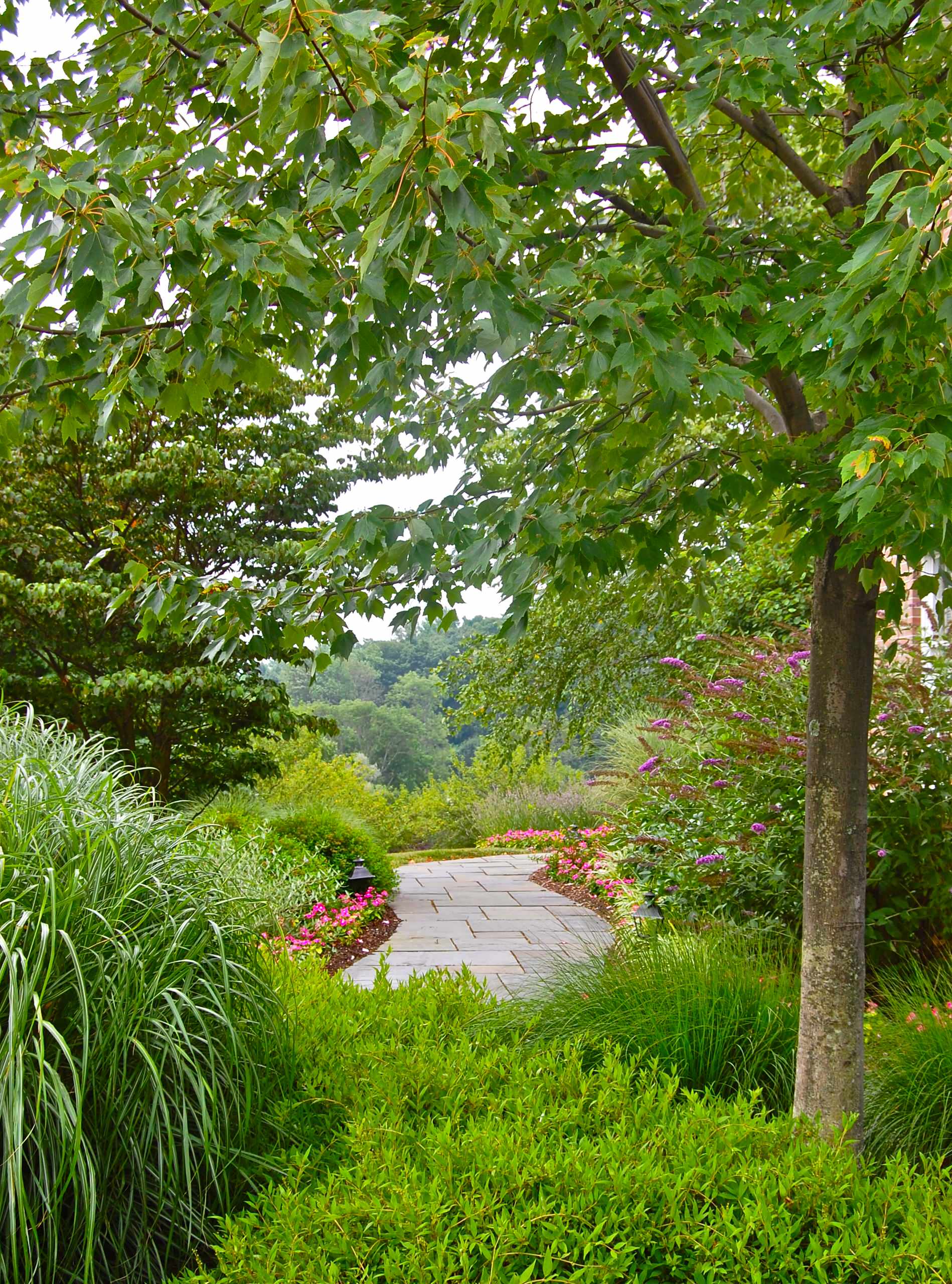 Свой круг: Как оформить приствольные круги деревьев