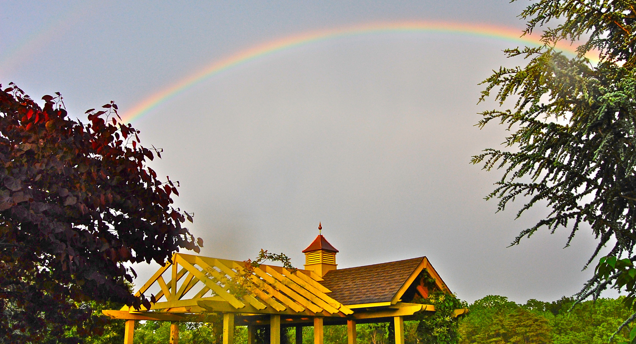 Цветущий сад: Календарь на май для дачников и садоводов
