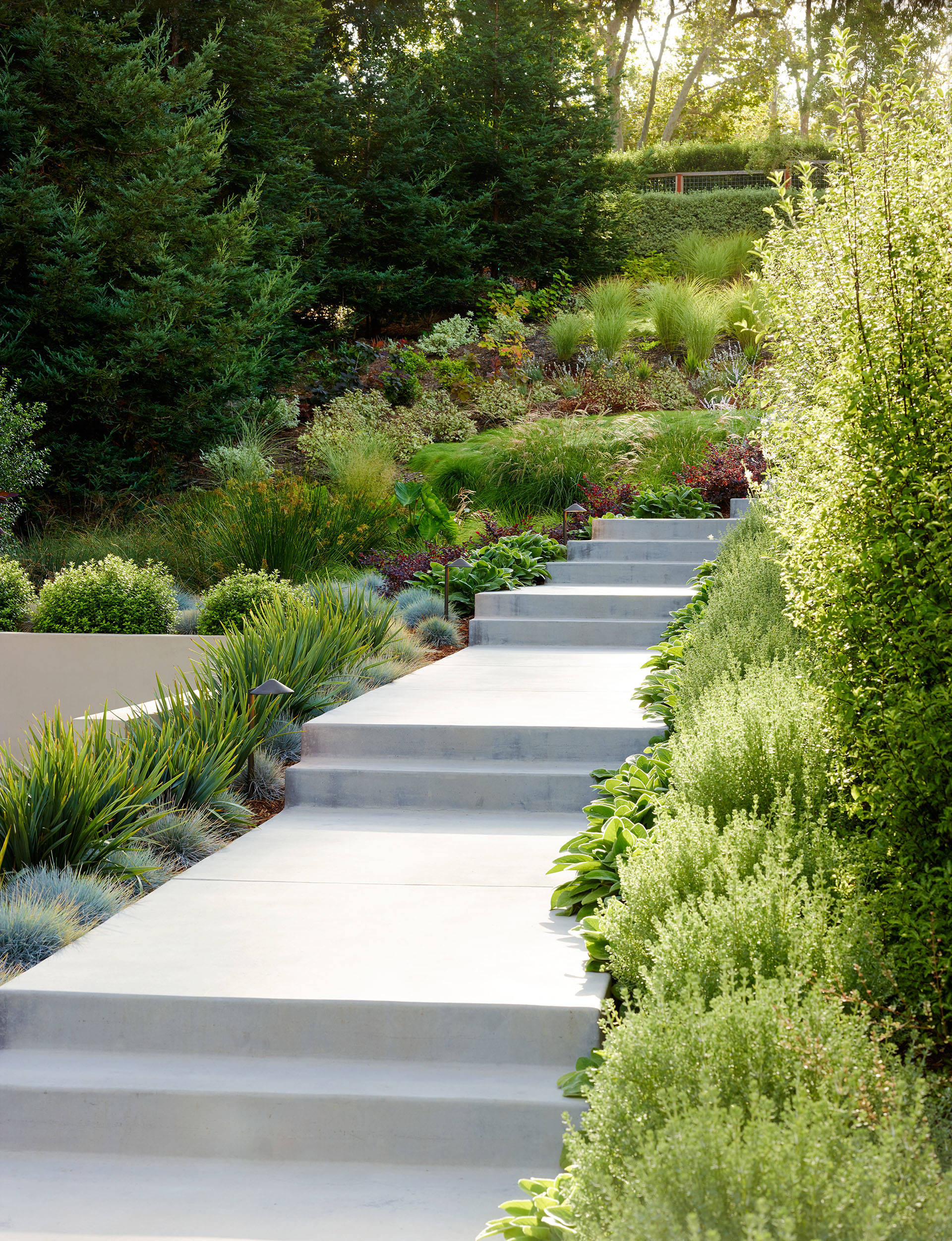 Прогулка на диване: 26 клумб и садиков у входа в дом