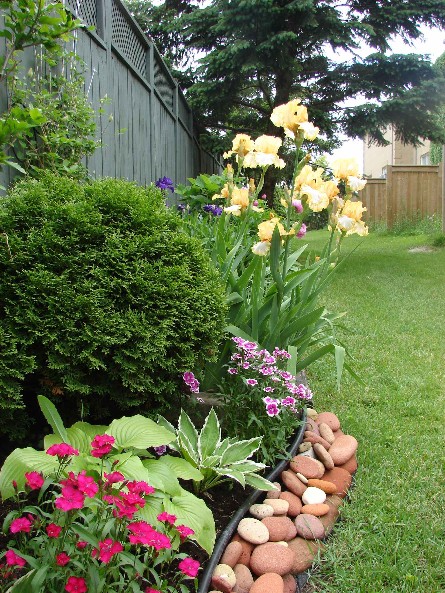 Дизайн клумбы: Шаг за шагом