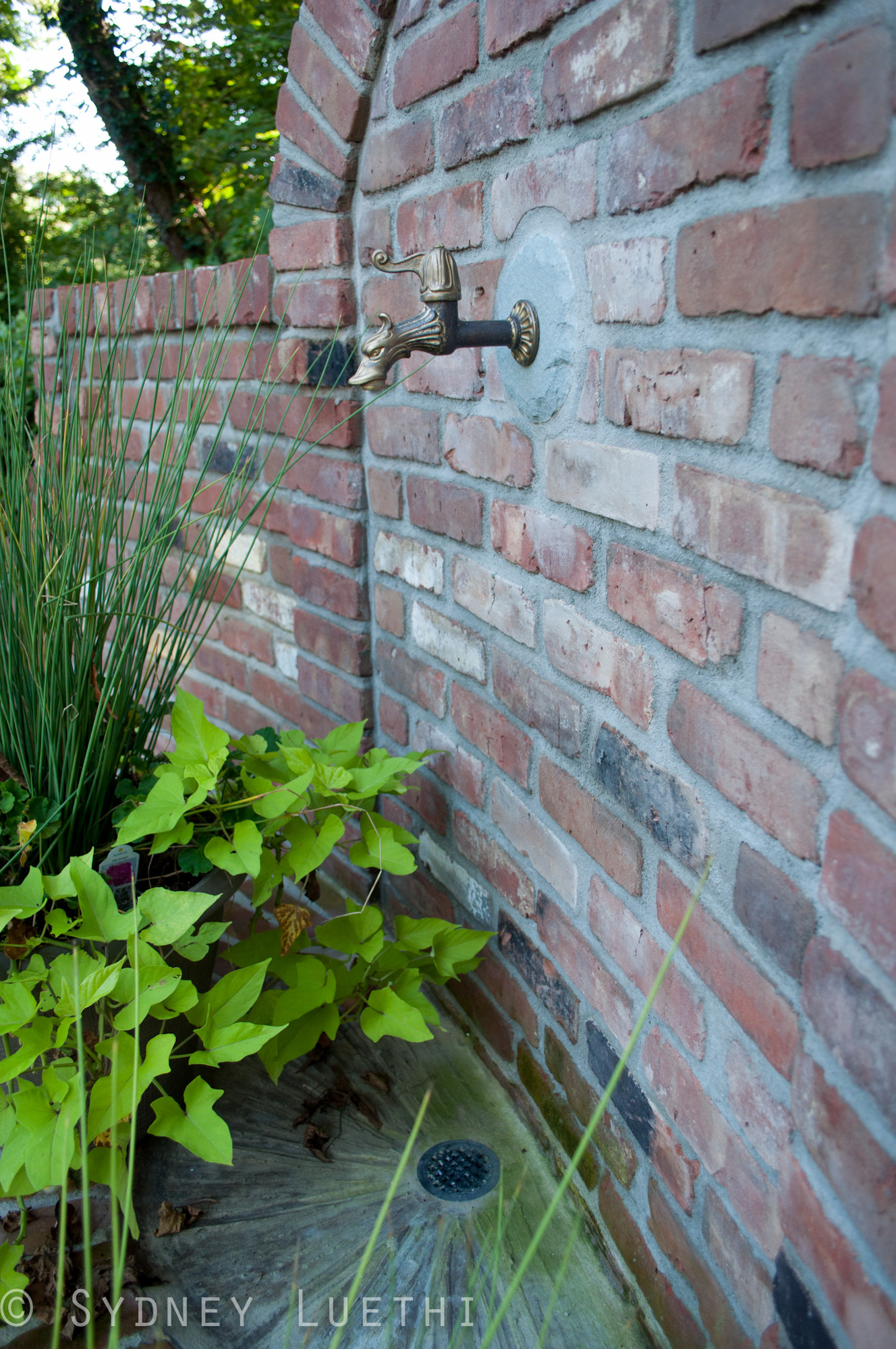 Как правильно: Организовать сбор дождевой воды