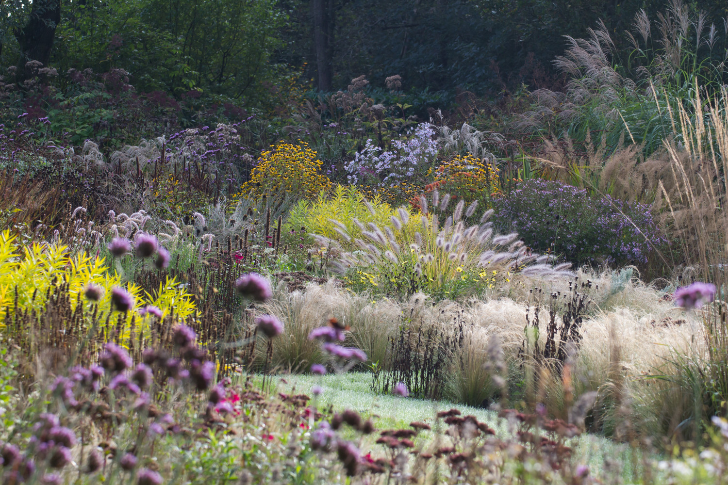 Houzz Нидерланды: Якобстуин — очаровательный сад Яапа де Вриса