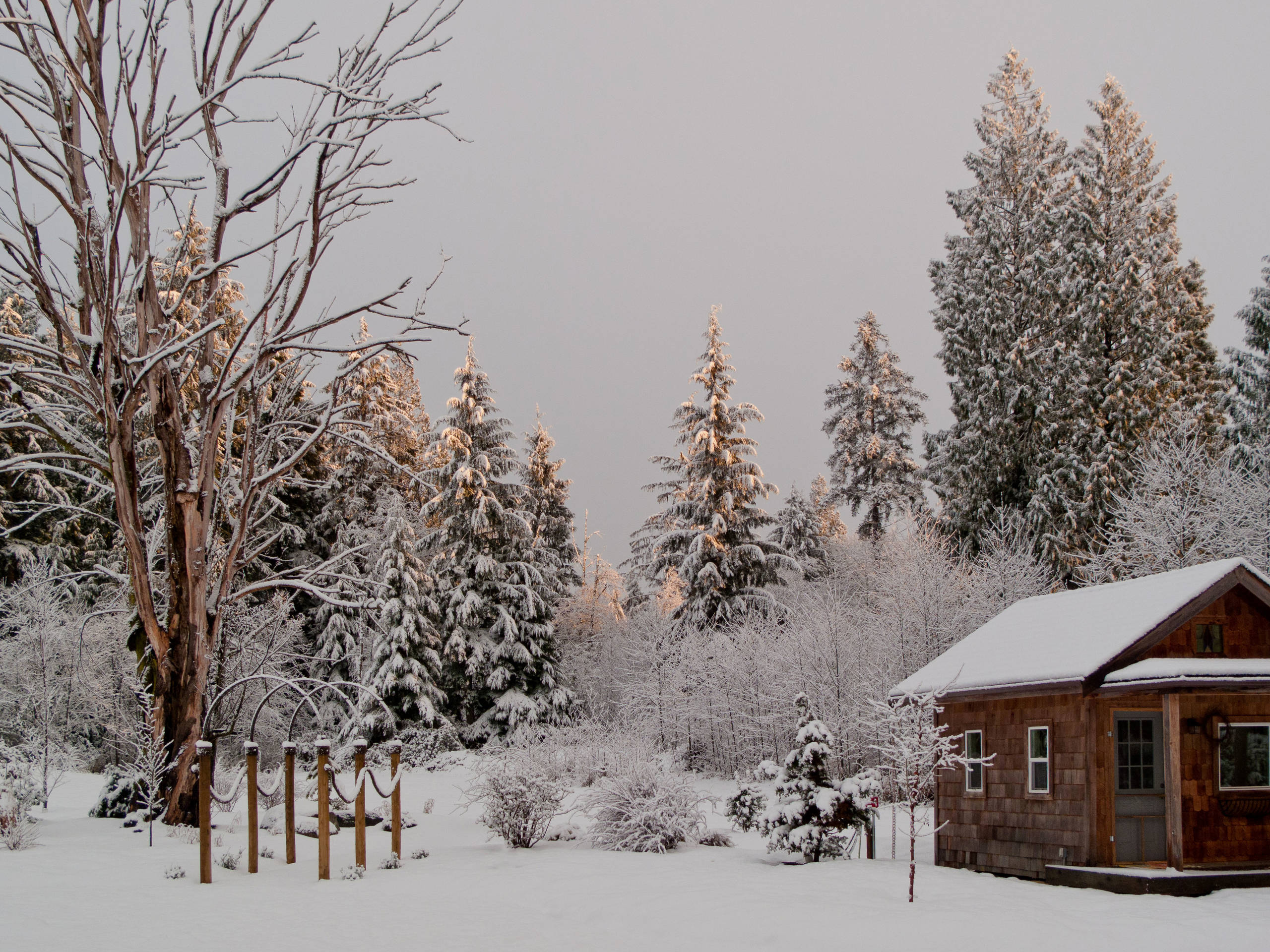 Инструкция: Проверяем документы и участок перед покупкой дома