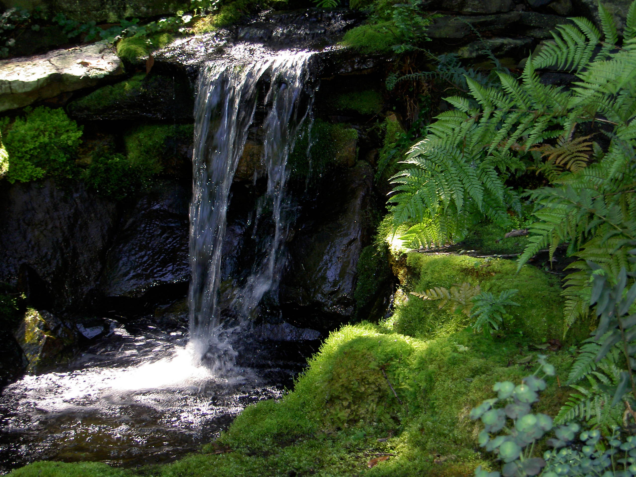 Живая вода: Как выбрать и где разместить фонтан на участке