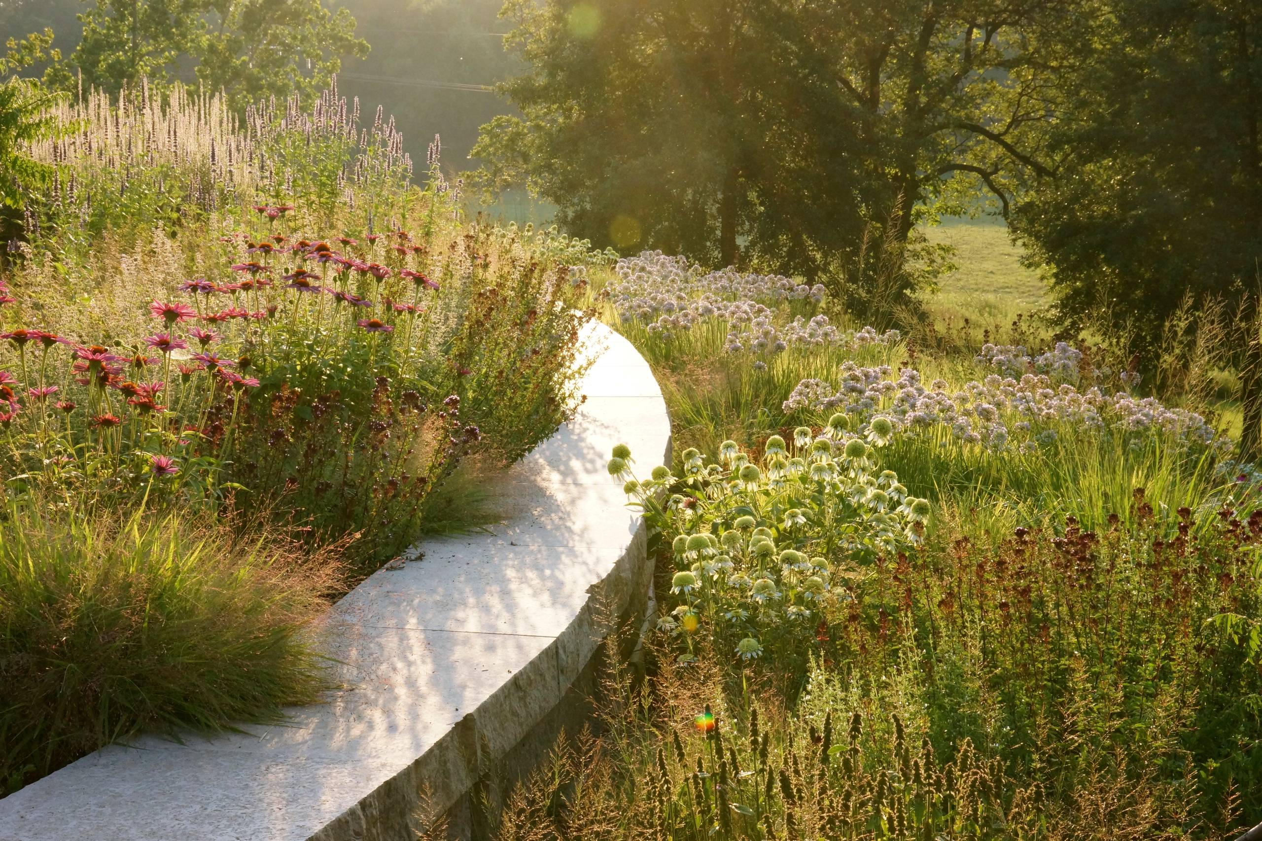 Хороший вопрос: Как создать жизнестойкий сад