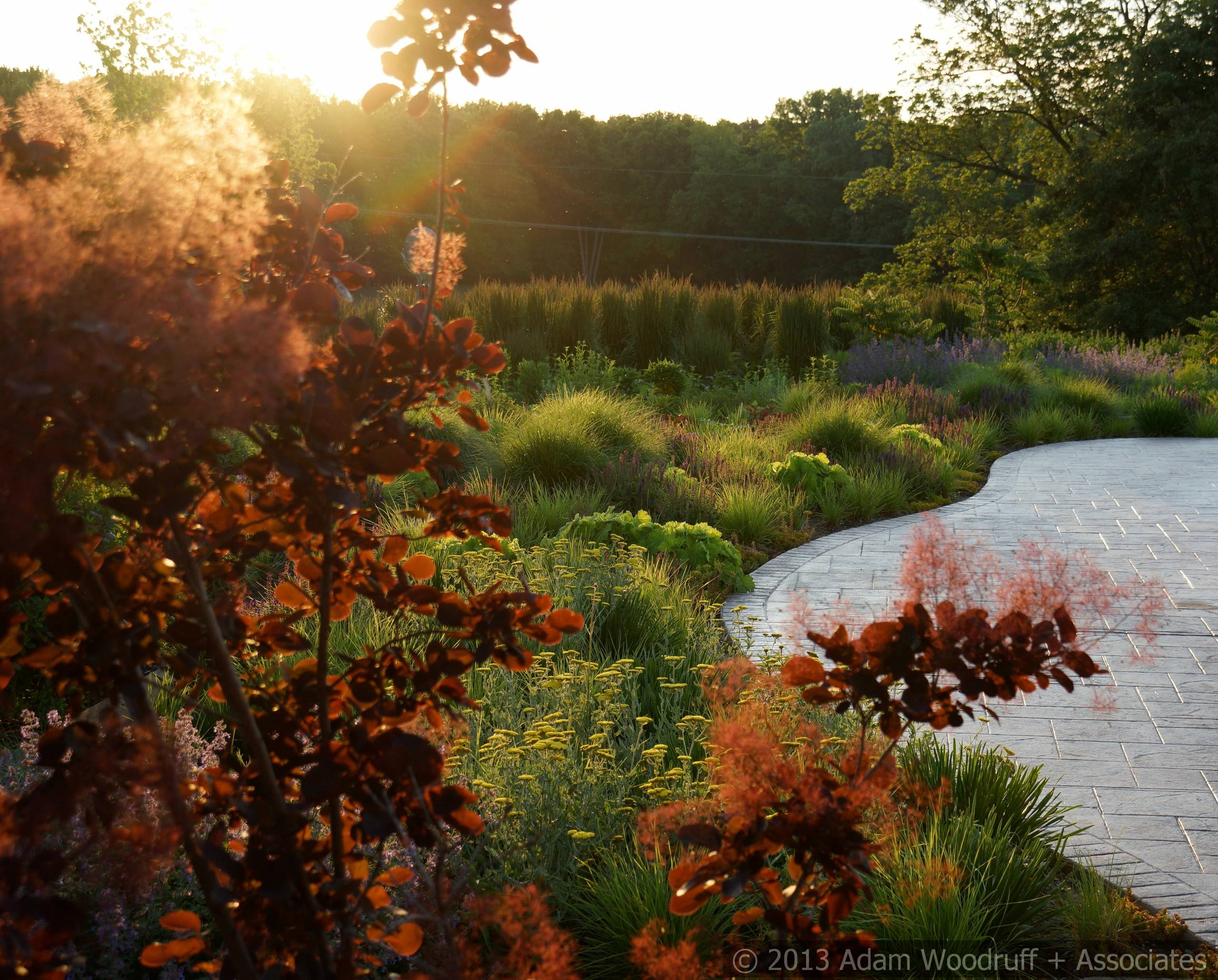 Хороший вопрос: Как создать жизнестойкий сад